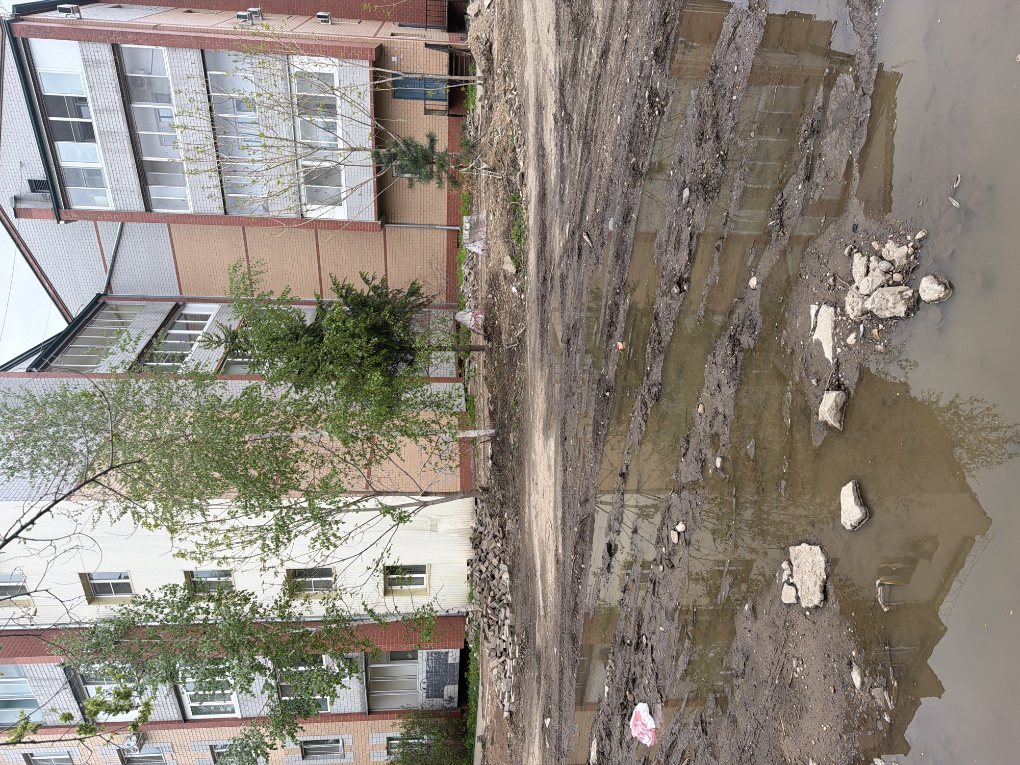 The image shows a flooded and muddy construction site or undeveloped area in Birobidzhan, Russia, adjacent to a multi-story residential building. The building has a mix of white, gray, and brick facade elements with multiple windows. A few small trees and shrubs are planted near the building's base.
The ground area is extremely muddy with standing water, reflecting the building. There are scattered rocks and debris in the mud and water, and a discarded plastic bag is visible. The area appears to be undergoing construction or is in a state of disrepair.