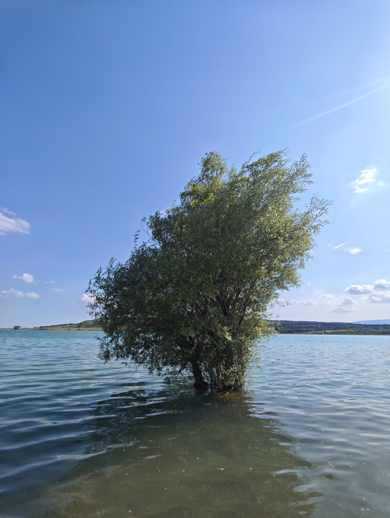 This is a landscape photograph taken on a sunny day, likely in the late morning or early afternoon, given the bright sunlight and clear blue sky with some scattered white clouds. The scene depicts a tranquil body of water, possibly a lake or reservoir, with gentle ripples on its surface reflecting the sky. In the center of the frame, a large, leafy green tree stands partially submerged in the water, its branches reaching upwards. The water appears clear near the shore, revealing a sandy or muddy bottom, and transitions to a deeper, more opaque blue-green further out.
In the distance, a hilly landscape is visible, dotted with some vegetation and structures. On the far left, a large, industrial-looking building or tank is present near the shoreline. The overall atmosphere is peaceful and natural, evoking a sense of calm. The location is identified as Tbilisi, Georgia. There is no visible text in the image.