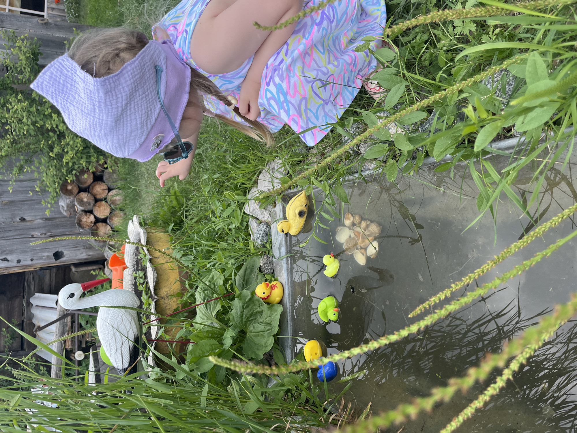The image shows a young girl wearing a light purple headscarf and a colorful dress, kneeling on the grass and reaching towards a small pond. The pond contains several rubber ducks of various colors: yellow, green, and blue. In the background, there is a white stork statue with a red beak, standing on its legs. Behind the statue, there is a wooden structure, likely a shed or fence, and a pile of chopped firewood. The environment appears to be a rural outdoor setting, possibly a backyard or garden in a village, with lush green grass and vegetation. The girl's gaze and outstretched hand suggest she is interacting with or observing the rubber ducks in the pond. The overall scene depicts a playful and casual moment in a natural environment. The location is identified as Сухринское, Russia.