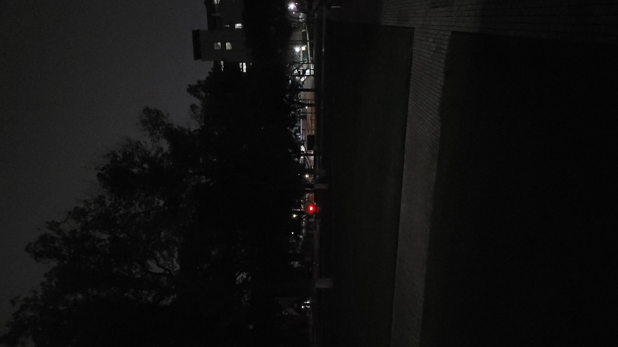 The image, taken at night, depicts a street scene in the Yuzhong District of China. A large, dark tree occupies the left side of the frame. The street is visible in the center of the image, illuminated by streetlights and a single red light, potentially from a traffic signal. Buildings are present in the background, their details obscured by darkness. A wall or structure is visible on the right side of the frame.