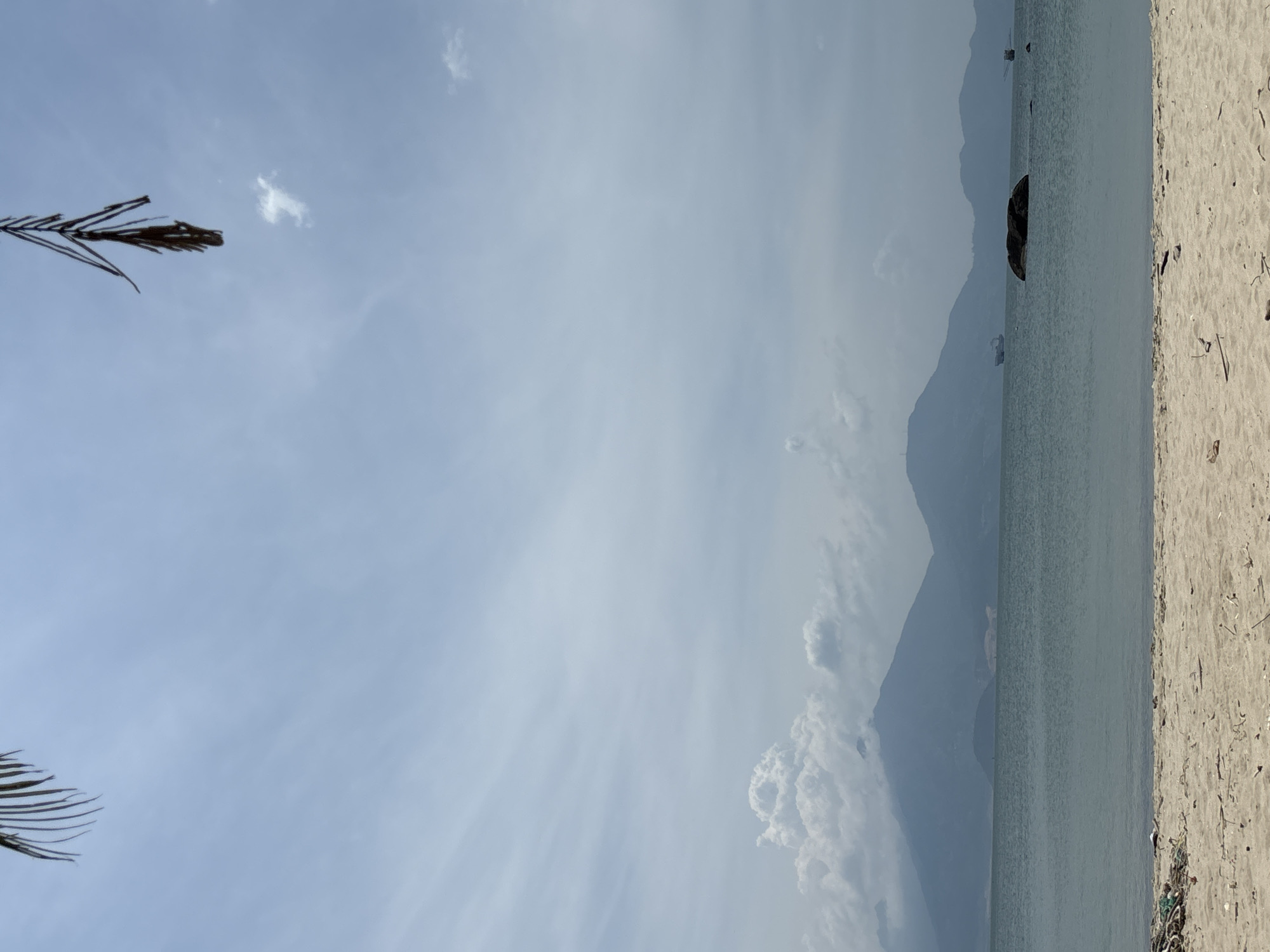 The image depicts a beach scene with a view of the ocean and mountains in the distance. The sky is partly cloudy. A palm frond is visible in the upper left corner. The beach is sandy. The location is likely in or near the city of Đà Nẵng, Vietnam.