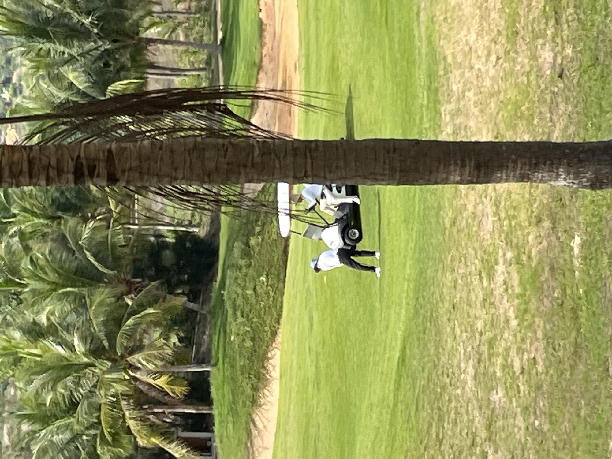 In Phu Thuy Ward, Vietnam, a golf course is depicted, featuring a sand trap on a gentle slope to the left, covered in green grass. A golf cart is parked on the fairway, with one person visible driving and another standing on the grass near the cart. The foreground is dominated by a thick palm tree trunk. In the background, numerous palm trees are clustered together, creating a dense tropical forest canopy. The scene is illuminated by bright sunlight.