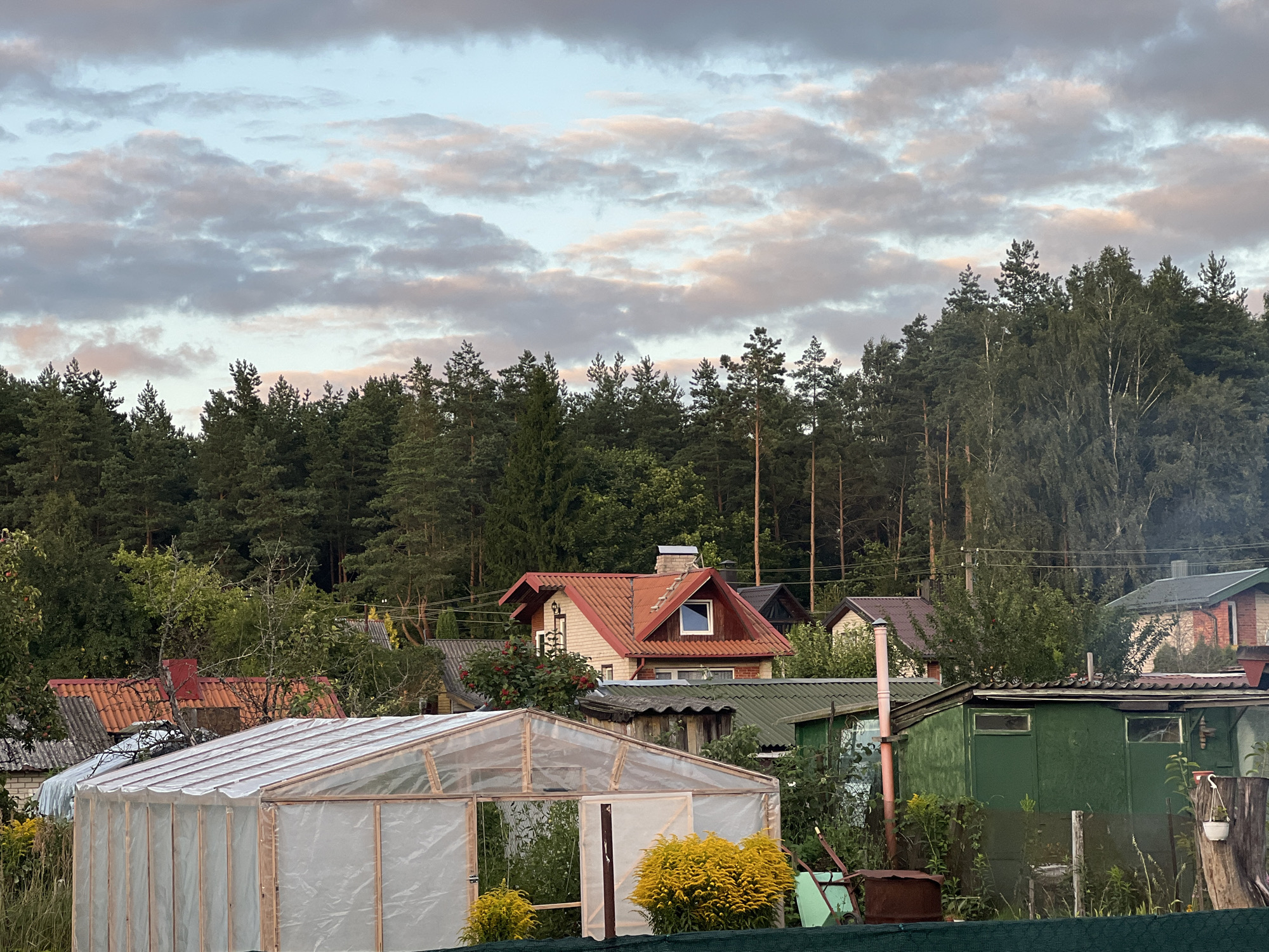 The image depicts a rural scene with several buildings and a dense forest in the background. In the foreground, a greenhouse with a transparent plastic covering and a wooden frame is visible. To the right of the greenhouse, there is a green shed with two windows. Further back, several houses with pitched roofs are scattered among the trees. One house, closer to the center, has a red-tiled roof and a prominent chimney. The sky above is partly cloudy with a mix of gray and pinkish hues, suggesting either sunrise or sunset. The overall environment appears to be a residential area bordering a natural landscape. The location is identified as Julionys, Lithuania. There are no people or animals visible in the image.