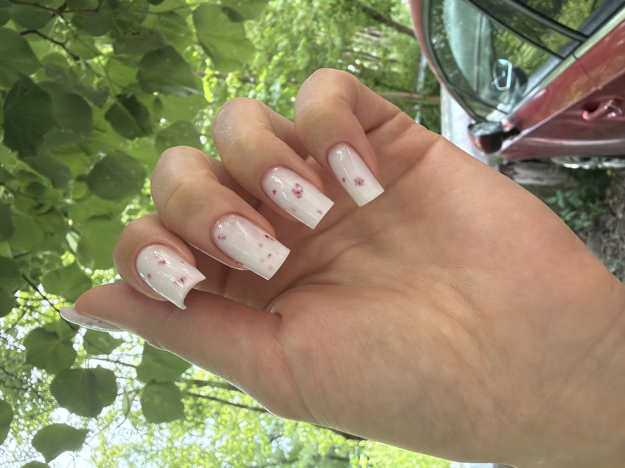 The image displays a close-up, dorsal view of a human right hand, featuring five manicured nails. The nails are long, square-shaped, and coated in a glossy white polish embedded with small, scattered pink, presumably floral, particles. The index finger nail shows a slight upward curve at its free edge. The background is an out-of-focus outdoor scene, dominated by vibrant green foliage, indicative of trees or bushes, under bright daylight conditions. A portion of a dark red sedan is visible in the lower right section of the frame. The scene is located in Vniissok, Russia.
