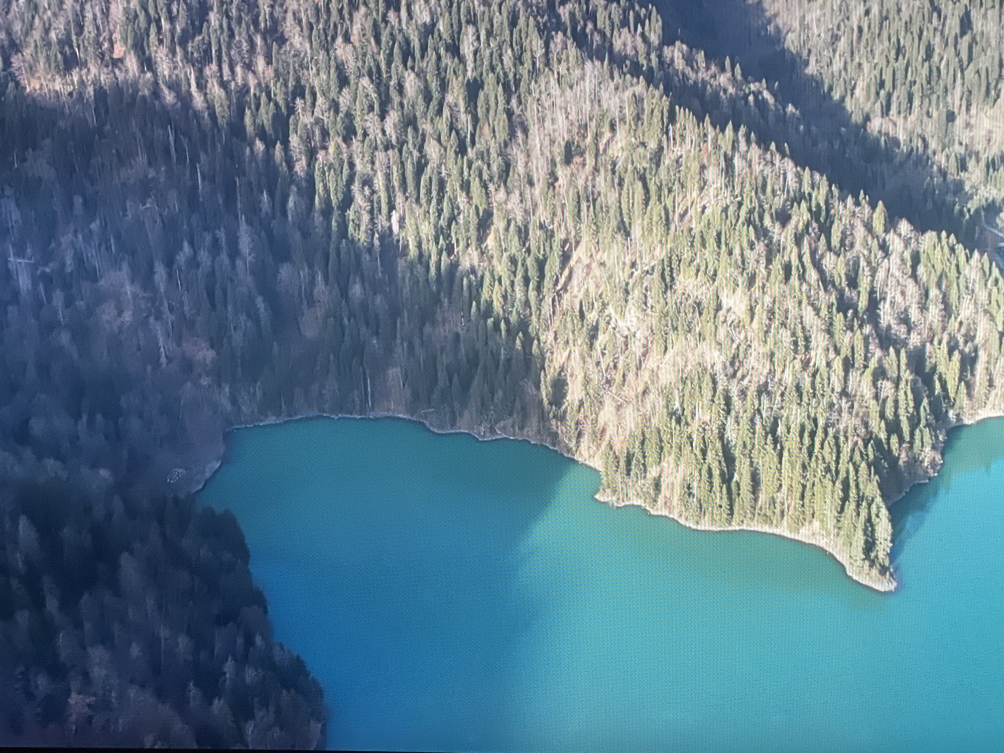 The image shows an aerial view of a lake with a shoreline lined by a dense forest. The water is a vibrant turquoise color, and a significant portion of the lake is illuminated by sunlight, while the rest is cast in shadow. The forest on the left side of the image appears darker and more shadowed, with visible tree trunks. The forest on the right side is brighter, with a mix of green and brown foliage, suggesting it is either receiving more direct sunlight or has a different tree composition. The terrain slopes upwards from the water's edge into the dense woodland. The image is likely taken from a high vantage point, possibly an aircraft or drone, looking down at the natural landscape. This scene is of Lake Ritsa, located in Abkhazia, a region recognized by Georgia as an occupied territory and by Russia and several other countries as an independent state.