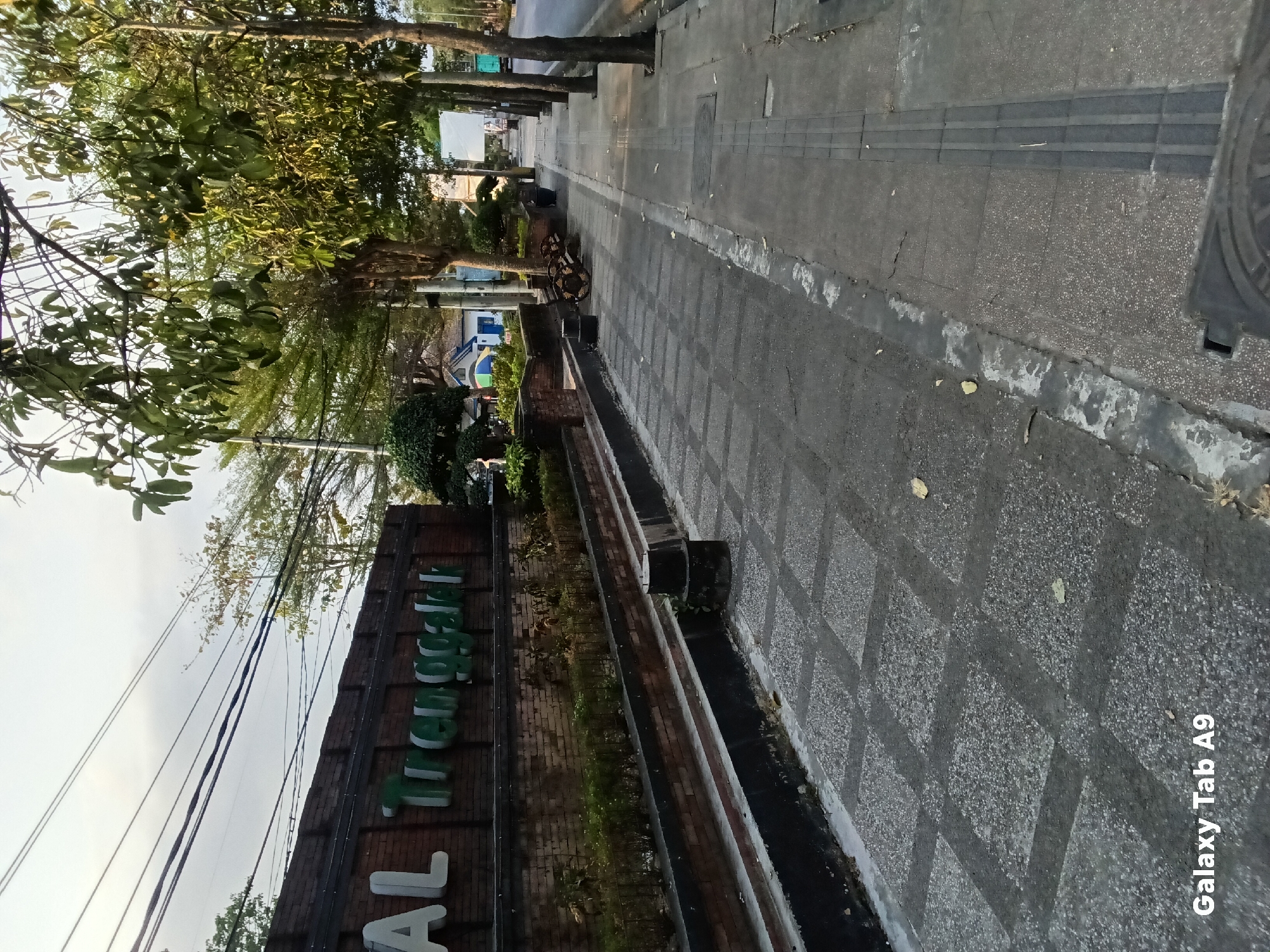 A sidewalk runs alongside a brick wall with the words "AL TRENGGALEK" in large white letters, likely a sign for the city of Trenggalek. The wall is topped with plants and trees, and the sidewalk is paved with square tiles. A road with a few vehicles is visible to the right, and a line of trees with lush green leaves provides shade. The sky is overcast, suggesting it might be early morning or late afternoon. The scene appears to be a public space in a city, possibly in Kelutan, Indonesia, given the context. There are no people visible in the image, and no actions or interactions are depicted.