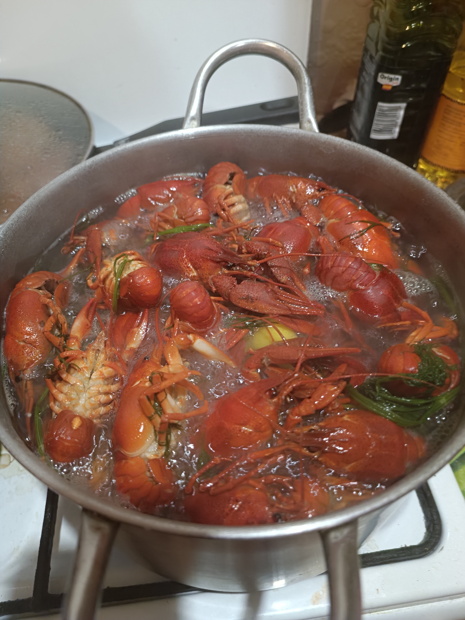 A high-angle close-up shot shows a pot filled with crawfish boiling in water. The crawfish are bright red and clustered together, with some green herbs or dill mixed in. Bubbles rise from the water, indicating it is actively boiling. The pot has two silver handles and appears to be made of metal. In the background, the edge of a stovetop with black burners is visible, along with part of a white countertop and the base of two bottles, one dark green and one yellow. The lighting is bright, illuminating the food preparation scene. The location is Unknown, Unknown.