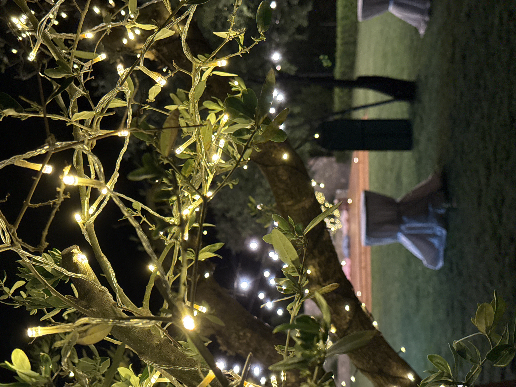 An outdoor scene at night, likely in Brca, Montenegro, is illuminated by a string of warm white fairy lights wrapped around the branches of an olive tree. The tree's textured bark and sparse green leaves are visible in the foreground, with the lights creating a festive and magical ambiance. In the background, the scene transitions to a lawn where several tables are covered with draped fabric. The lighting suggests it might be an event, possibly a party or wedding reception, with the fairy lights casting a soft glow over the area. The overall impression is one of a serene and enchanting evening setting.