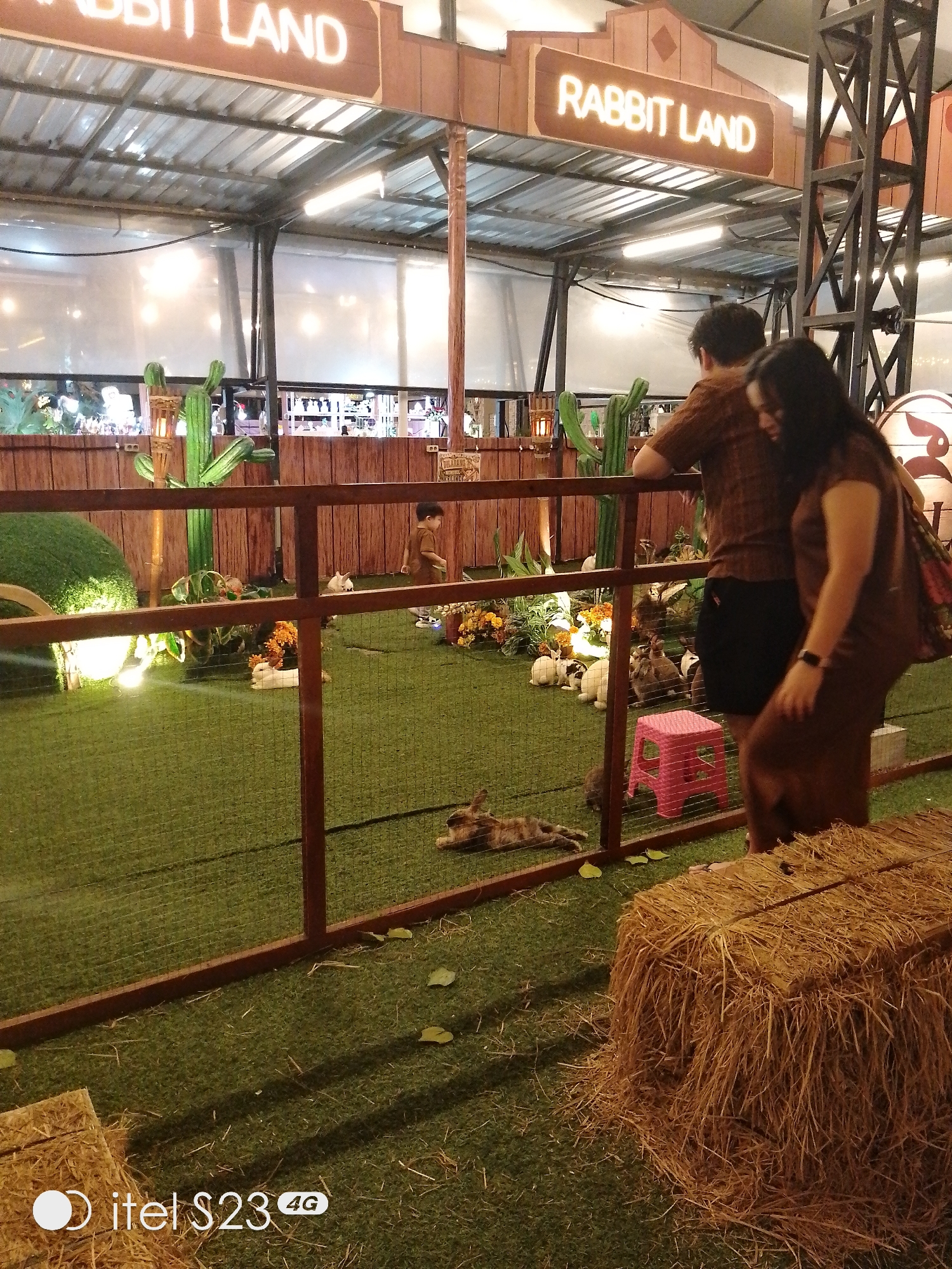 The image depicts an indoor "Rabbit Land" attraction, likely a pet zoo or a similar entertainment venue, in Surabaya, Indonesia. A wooden fence with wire mesh encloses an area covered in green artificial turf, designed to resemble a garden. Several rabbits, varying in color and size, are visible within the enclosure, some are lying down while others are standing or moving. A small pink plastic stool is placed in the enclosure.
In the foreground, to the right, is a large bale of hay. In the background, a couple is standing by the fence, observing the rabbits. The man, wearing a brown shirt and dark shorts, has his left arm leaning on the fence. The woman, in a long brown dress, stands next to him, her right hand holding a bag. Their attention is directed towards the rabbits. Behind them, a wooden sign with glowing letters reads "RABBIT LAND." A young child in a brown outfit is also visible inside the enclosure, walking away from the camera. The environment appears to be dimly lit, with artificial lighting contributing to the ambiance. The overall scene suggests a family-friendly attraction where visitors can interact with or observe rabbits.