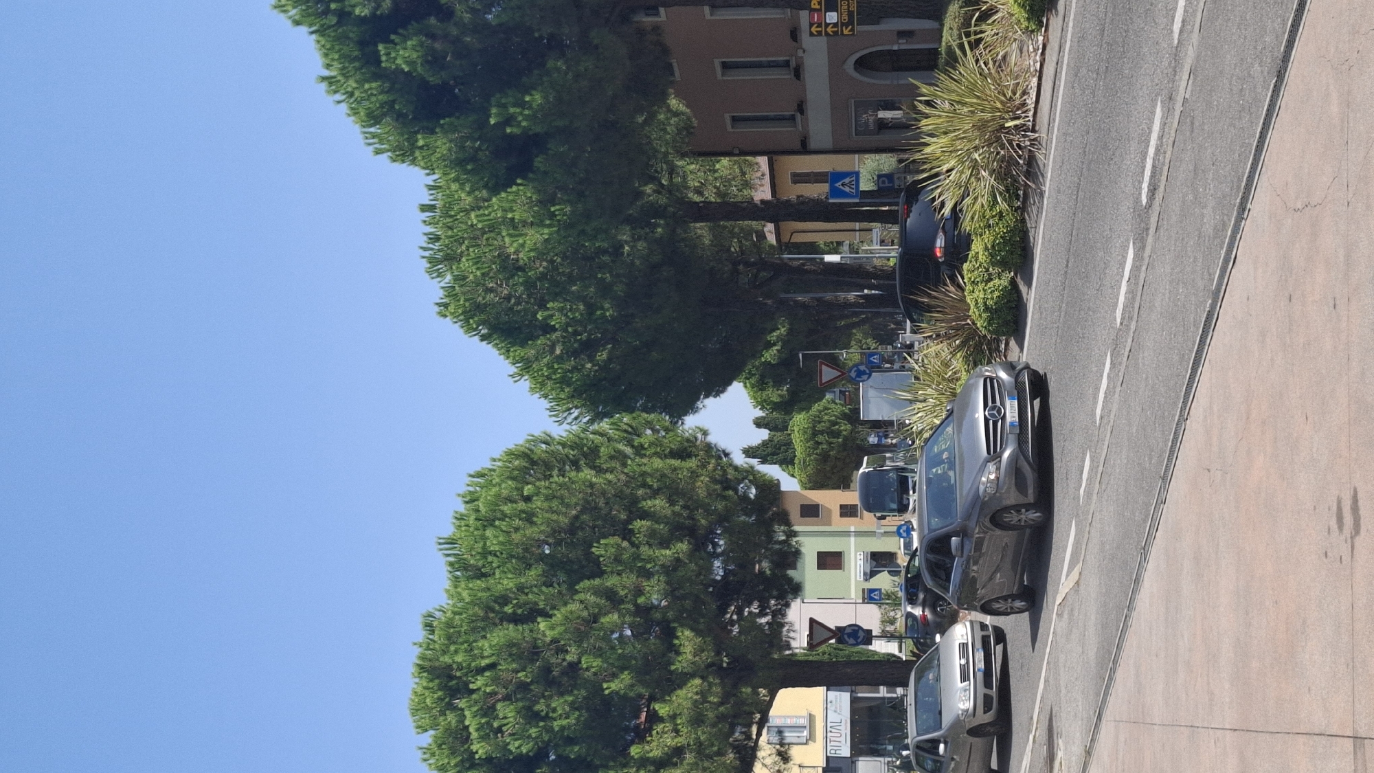 The image shows a street scene in Desenzano del Garda, Italy. The sky is clear and blue. On the left side of the image, there are two large pine trees. Behind the trees, there are buildings with colorful facades. One building has a sign that says "RITUAL". Several cars are driving on the road. In the foreground, there is a grey Mercedes-Benz. Further down the road, there is a silver Fiat Punto and a white van. On the right side of the image, there are more buildings, some with arched windows, and more pine trees. There are also some ornamental plants along the side of the road. The street is paved and there are white lane markings. The overall impression is a sunny day in a town.