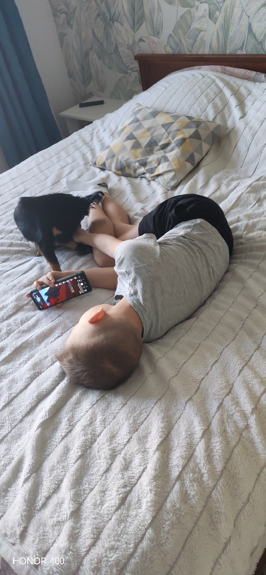 The image depicts an indoor scene, specifically a bedroom, within the city of Noviy, Russia. A young child, appearing to be male, is lying prone on a bed, with their head positioned towards the lower left of the frame. The child is wearing a light grey t-shirt and dark shorts. They are holding a black smartphone in their left hand, with the screen displaying a red-hued, block-style image, likely from a video game or digital media.
A small, dark-furred dog is positioned near the child's feet, which are covered by white socks, appearing to interact with or investigate the feet. The bed is covered with a light-colored, possibly off-white or very light grey, textured blanket featuring diagonal, raised ridges. A decorative square pillow with a grey, white, and yellow geometric triangular pattern rests on the bed near a wooden headboard, which is partially visible on the right side. To the left of the headboard, a white nightstand holds a black remote control. The wall behind the bed is covered with wallpaper featuring a light green and white botanical pattern of large leaves. Blue curtains are partially visible on the far left side of the frame.
