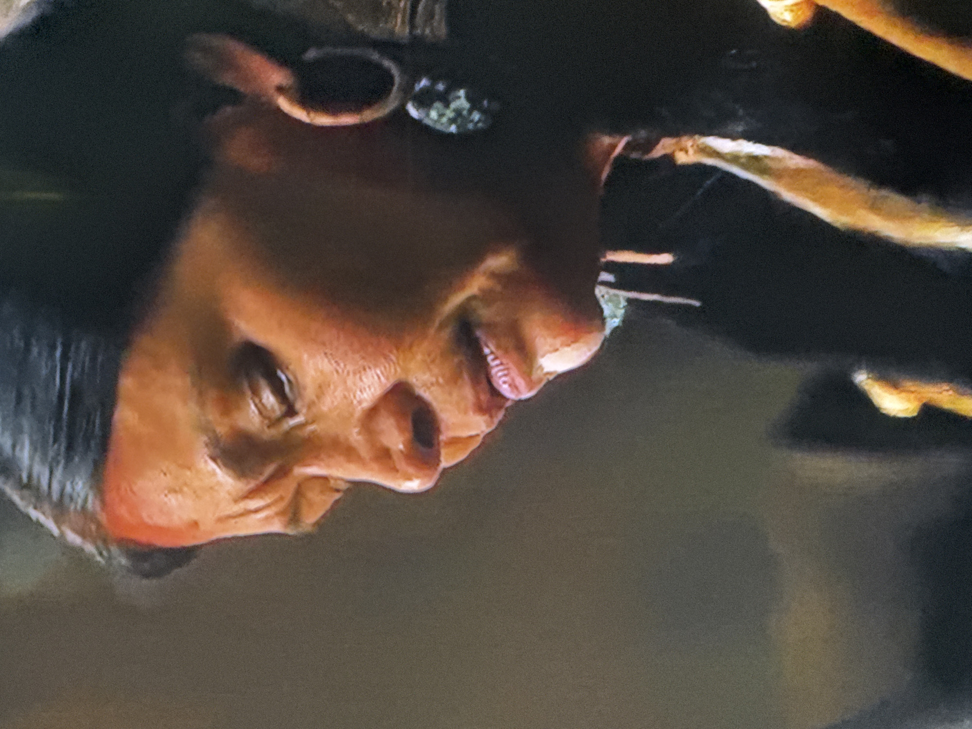 A close-up portrait photograph shows a person's face with their left side more visible. The person has short dark hair and is wearing an earring. The facial expression appears to be a slight smile. The background is out of focus, with blurry patches of light and dark tones. The image is rotated. The location is unknown.