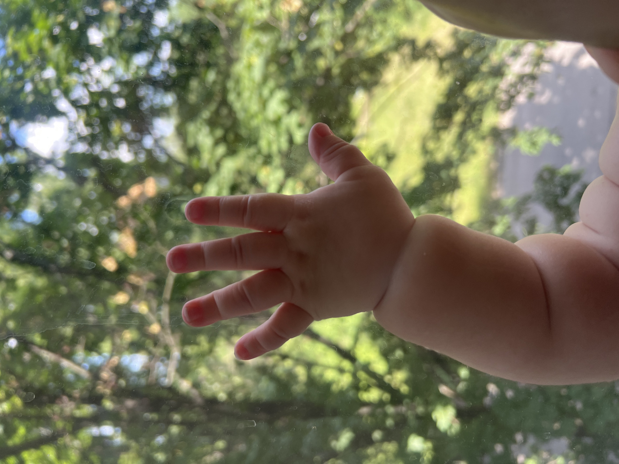 A baby's arm and hand are pressed against a dirty window. The background is a blurry green and yellow of trees and foliage. The baby's hand has five fingers, all with reddish tips. The arm is plump and soft. The scene is likely outdoors, possibly in a park or backyard, given the greenery.