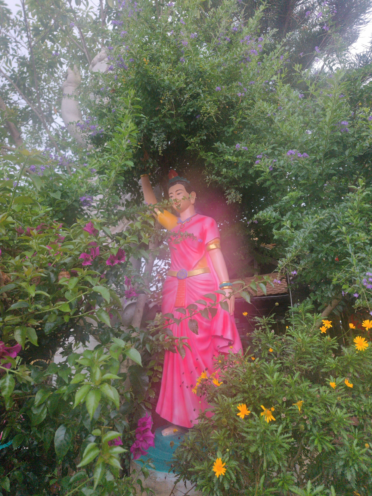 A vibrant, vertical shot depicts a statue of a woman nestled within a dense, verdant garden in Lâm Viên - Đà Lạt, Vietnam. The central subject is a female figure, likely a goddess or traditional representation, adorned in a flowing, bright pink dress with gold trim and a blue bracelet on her left wrist. Her skin appears reddish-brown, and her black hair is styled. She holds a golden, bottle-shaped object in her raised right hand, while her left arm is bent, suggesting interaction with the surrounding foliage. Her expression is serene.
The statue is almost entirely enveloped by lush green plants. In the upper half, shrubs with small purple flowers (possibly Duranta erecta) are prominent. To the left, vibrant pink and purple bougainvillea blossoms add a burst of color. The lower right foreground features bushy plants dotted with cheerful yellow daisy-like flowers. Behind the statue, parts of a light-colored tree trunk are visible, and in the upper right, dark green pine needles can be seen, indicating a variety of tree species.
The lighting suggests a soft, diffused daylight, possibly with a subtle sunbeam or lens flare passing across the statue, creating a warm glow. The overall scene conveys a sense of peaceful natural beauty and spiritual reverence, with the statue appearing as an integral part of the garden environment. No visible text is present in the image.