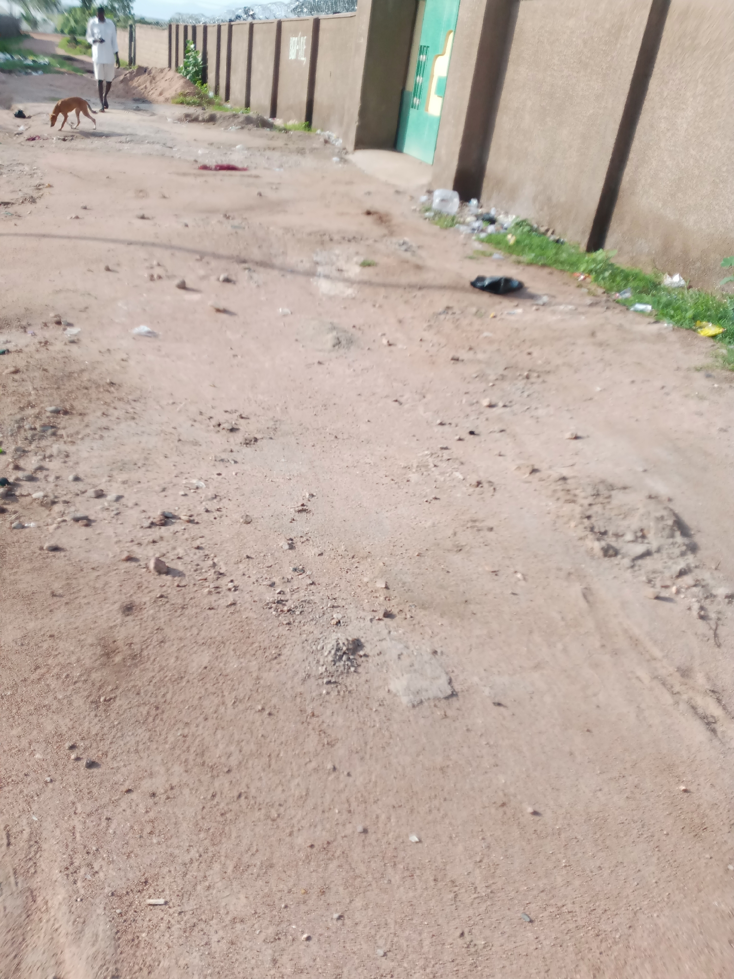 The image depicts a dusty, unpaved road in Jauro Yinu, Nigeria. In the background, a person dressed in white walks away from the camera, and a brown dog is sniffing the ground to the left of the person. A beige-colored wall with vertical dark brown elements borders the road on the right. Various pieces of debris, including plastic bottles and trash, are visible along the edge of the wall. The road surface itself is uneven and contains scattered stones and pebbles.