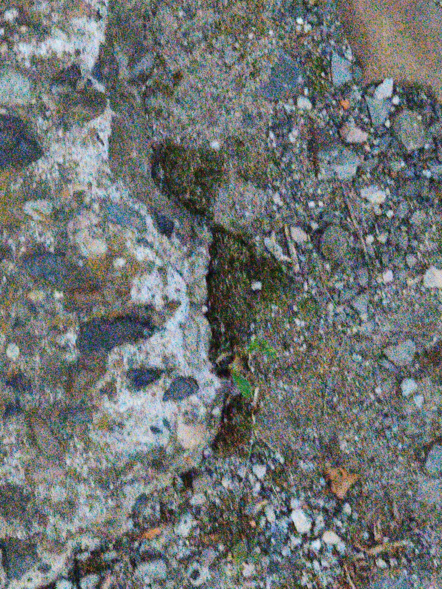 The image shows a close-up, high-angle view of a rough, gravelly surface with some patches of moss or algae. The ground appears to be a mixture of grey and brown stones of various sizes, interspersed with lighter-colored debris that might be concrete fragments or larger pebbles. There are also areas of dark green, suggesting the presence of vegetation or dampness. The texture is granular and uneven. The lighting is diffuse, and there is significant digital noise in the image, which obscures fine details and gives it a speckled appearance. No people or specific objects are clearly identifiable. The scene is devoid of any context that would suggest a specific location within Steblivka, Ukraine.