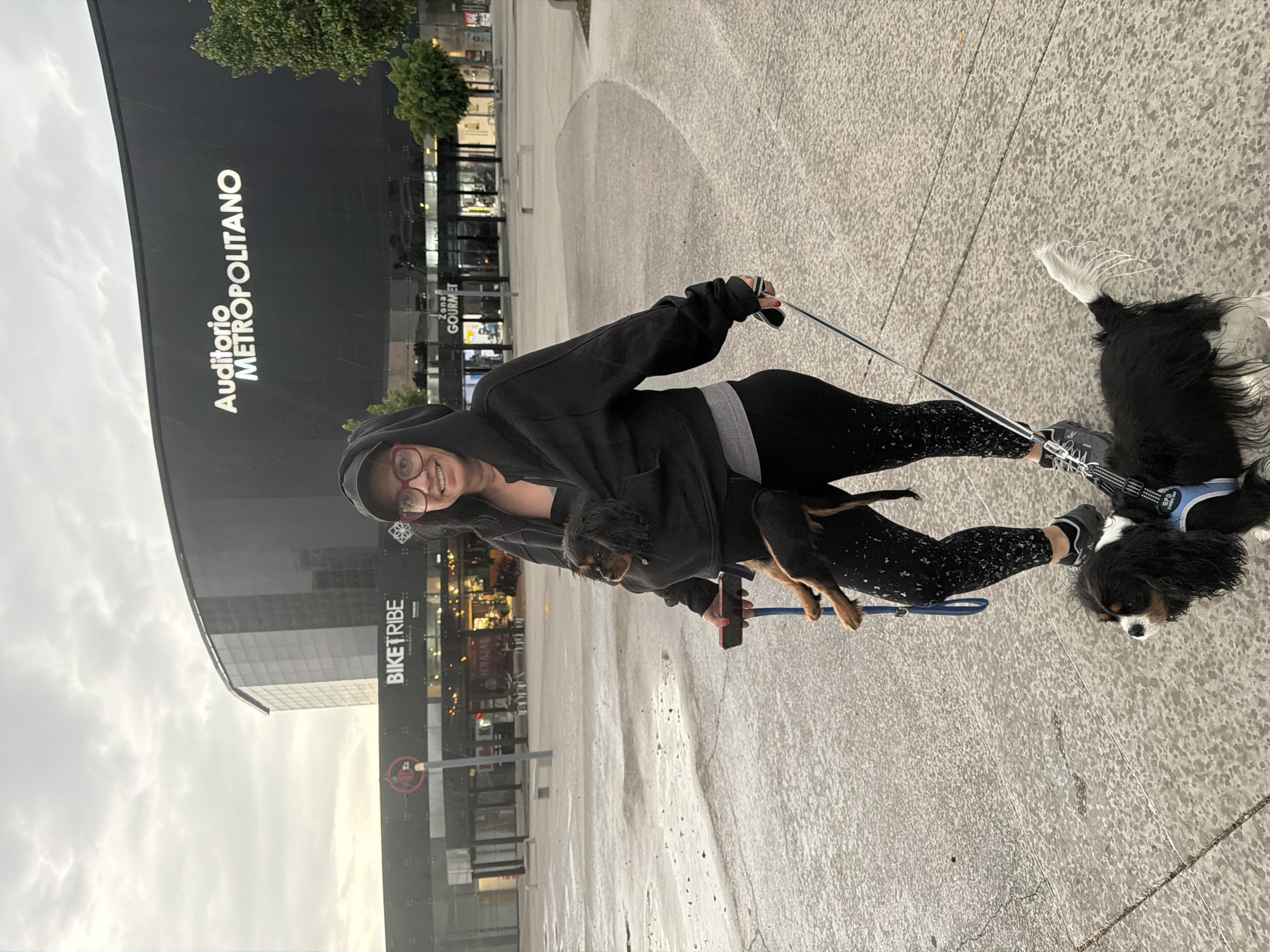 The image shows a person holding a dog and walking another dog on a leash outside the Auditorio Metropolitano in Puebla, Mexico. The person is wearing a black hooded sweatshirt, black patterned leggings, and sneakers. They are also wearing glasses. One dog is a small, dark-colored puppy, held in the person's arm. The other dog is larger, with black and white markings, and wears a blue harness. The background includes the Auditorio Metropolitano building with "Auditorio Metropolitano" written on it, along with a building with "BIKE TRIBE" sign, and commercial establishments, indicating a street scene. The ground appears wet or recently rained on. The sky is overcast.