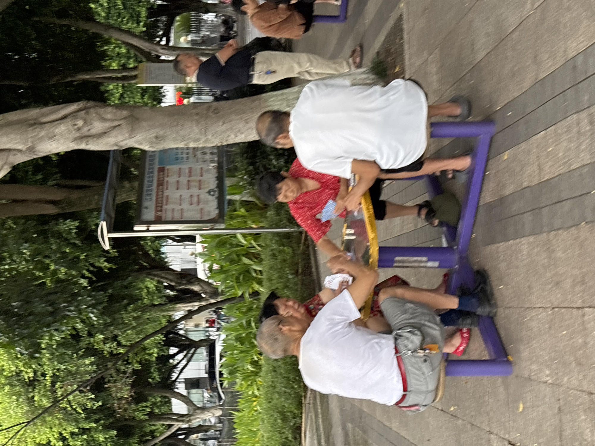 In Jiangjin, China, four individuals are seated around a small yellow table in an outdoor public space, possibly a park. Two elderly individuals, a man and a woman, are on one side, playing cards. The man, wearing a white t-shirt and gray shorts, is on the left, and the woman, in a red top and patterned skirt, is in the middle. Facing them are two other people, also seated at the table, though their activities are less clear. The environment features lush green trees and foliage, with a large tree trunk prominent in the foreground. A bulletin board is visible in the background, along with other people walking or standing in the distance. The ground is paved with wood-like planks.