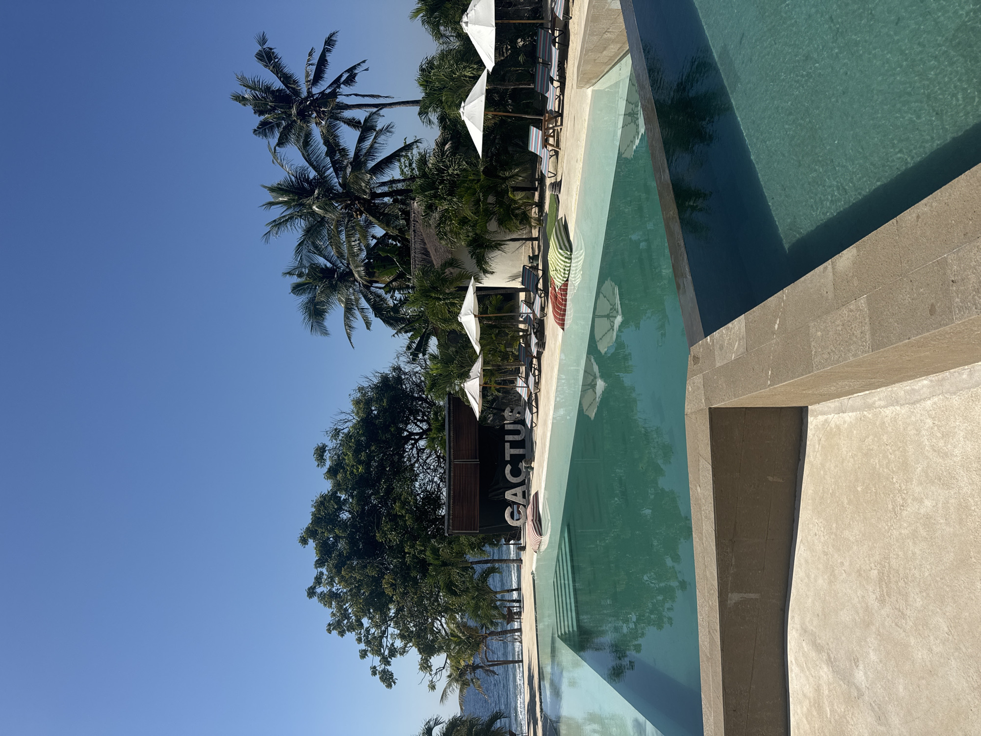 This image depicts a sunlit tropical resort setting in Nusa Penida, Indonesia, featuring a multi-tiered swimming pool, ocean views, and lush vegetation. In the foreground, a light beige paved terrace transitions into dark stone coping that frames a swimming pool. The pool's clear, turquoise water reflects the blue sky and surrounding greenery.
The main section of the infinity-edge pool, equipped with visible steps on its left side, extends towards the horizon. Alongside the pool, a light-colored deck features several white market umbrellas providing shade for multiple sun loungers. These loungers are outfitted with striped cushions in red/white and green/white patterns. Prominently placed on the deck, large white block letters spell "CACTUS," situated in front of a modest, dark-roofed structure.
To the right, additional sun loungers and umbrellas line the pool, backed by a dense arrangement of tall palm trees and a distinctive round, white building with a thatched roof. The background on the left reveals a sandy beach meeting a calm blue ocean under a clear, unblemished blue sky. A large, dense green tree dominates the left side of the background, complementing the numerous palm trees scattered throughout the scene. No individuals or specific actions are visible in the image.