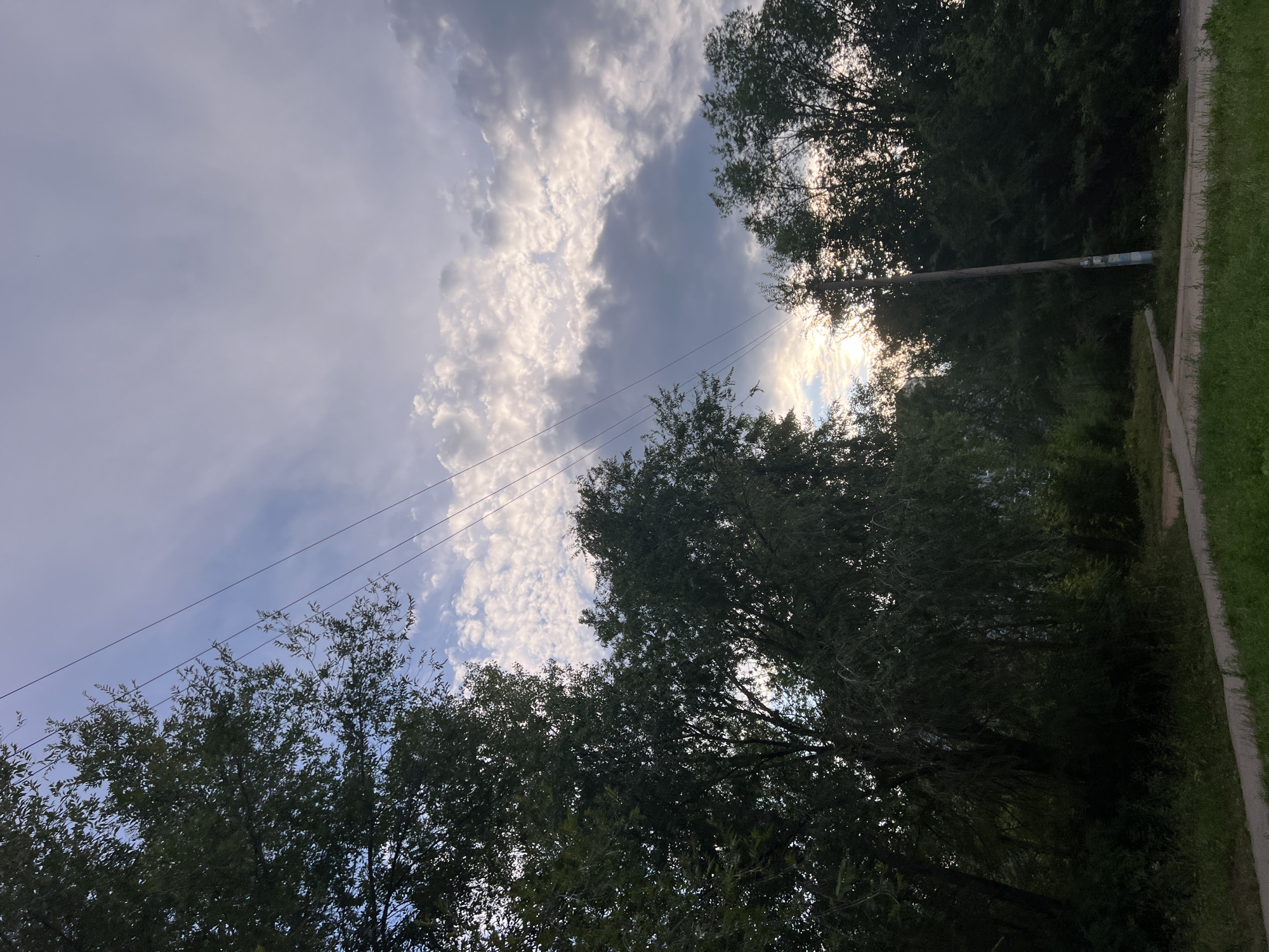 This is an outdoor, eye-level, medium shot image taken on a paved path with grass on either side, surrounded by dense trees. In the distance, there is a dirt path that branches off. Overhead, a power line with three wires stretches across the frame. The sky is partially cloudy, with the sun peeking through the clouds, creating a bright glow. A utility pole stands to the right of the frame. The scene appears to be in a semi-urban or suburban area. The presence of utility poles and power lines suggests a populated area, while the dense tree cover indicates a park, residential backyard, or a natural reserve within the city. Based on the architecture of the building visible behind the trees on the left, and the typical street and power line infrastructure, this scene is likely located in Ulyanovsk, Russia. No people or animals are visible in the image, and no specific actions or interactions are depicted. The lighting suggests it is either early morning or late evening, with a diffused, soft light.