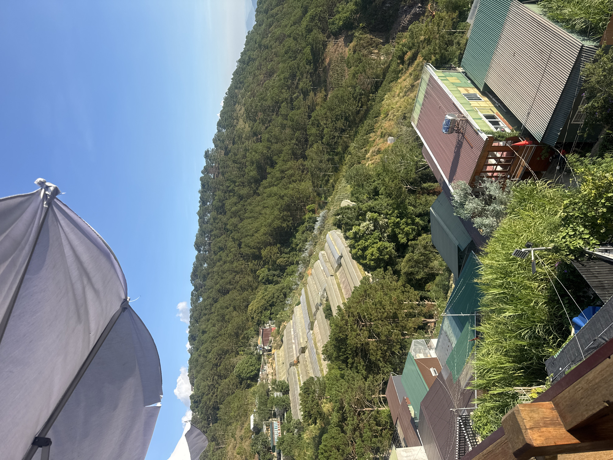 The image depicts a view overlooking a hillside in Da Lat, Vietnam. The foreground features a partially visible white umbrella on the left, and sections of rooftops with varied green and brown corrugated metal, and surrounding lush vegetation. In the mid-ground, a series of greenhouses descend the hillside, nestled amongst the trees. A dense, evergreen forest covers the upper portion of the hillside. The sky is blue with a few wispy clouds.