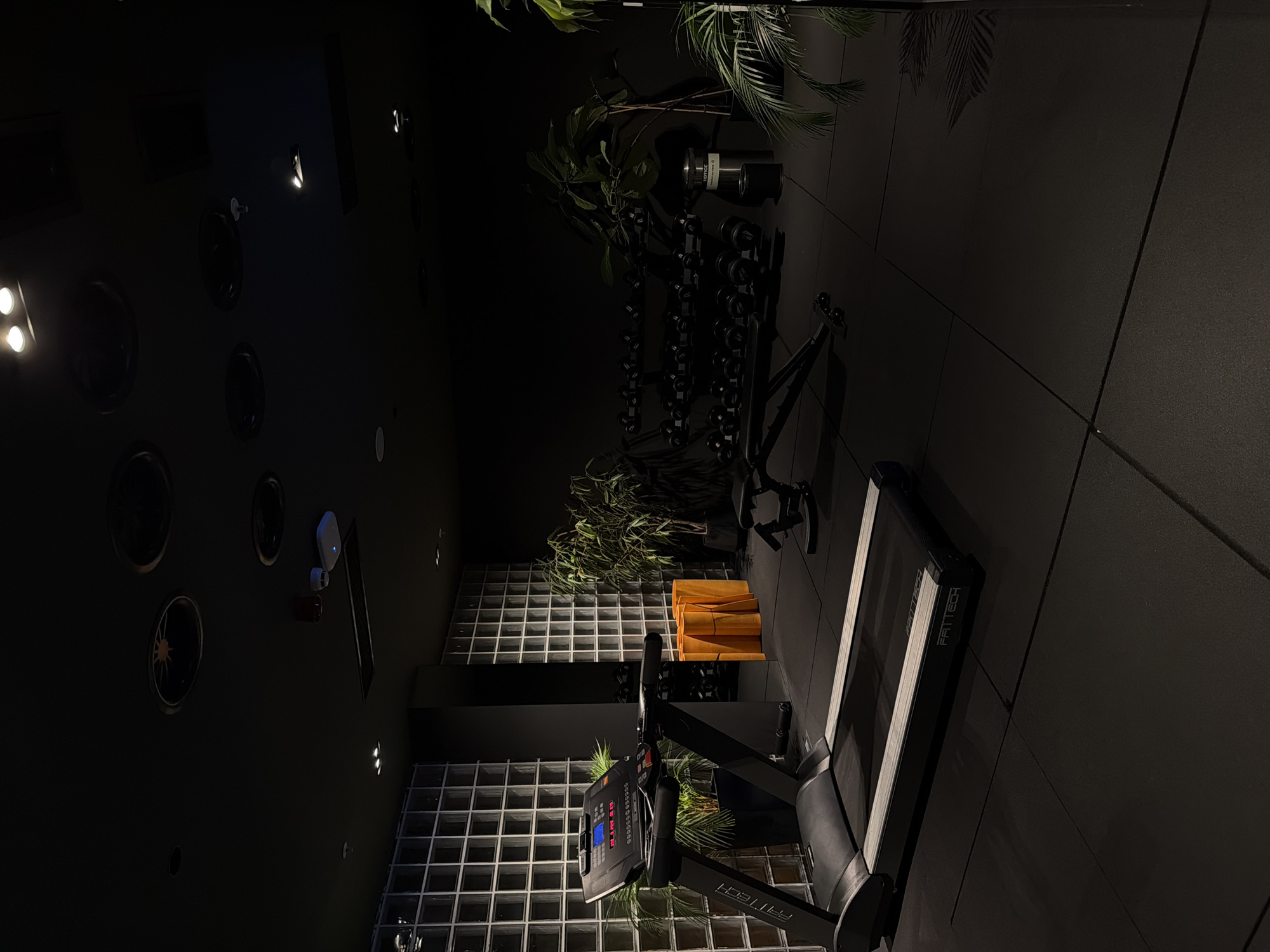 This indoor shot depicts a gym in Tbilisi, Georgia. The lighting is dim, primarily from ceiling fixtures and the screen of a Fittech treadmill positioned in the foreground. The treadmill is oriented vertically, its black frame and control panel contrasting against the gray-tiled floor. In the middle ground, there is a weight rack filled with dumbbells, surrounded by various potted plants, adding a touch of greenery to the space. In the background, there are rectangular glass blocks on the walls. Behind the treadmill there are orange mats stacked in the background, and the overall atmosphere of the gym is modern and dark. No people are visible in the frame.