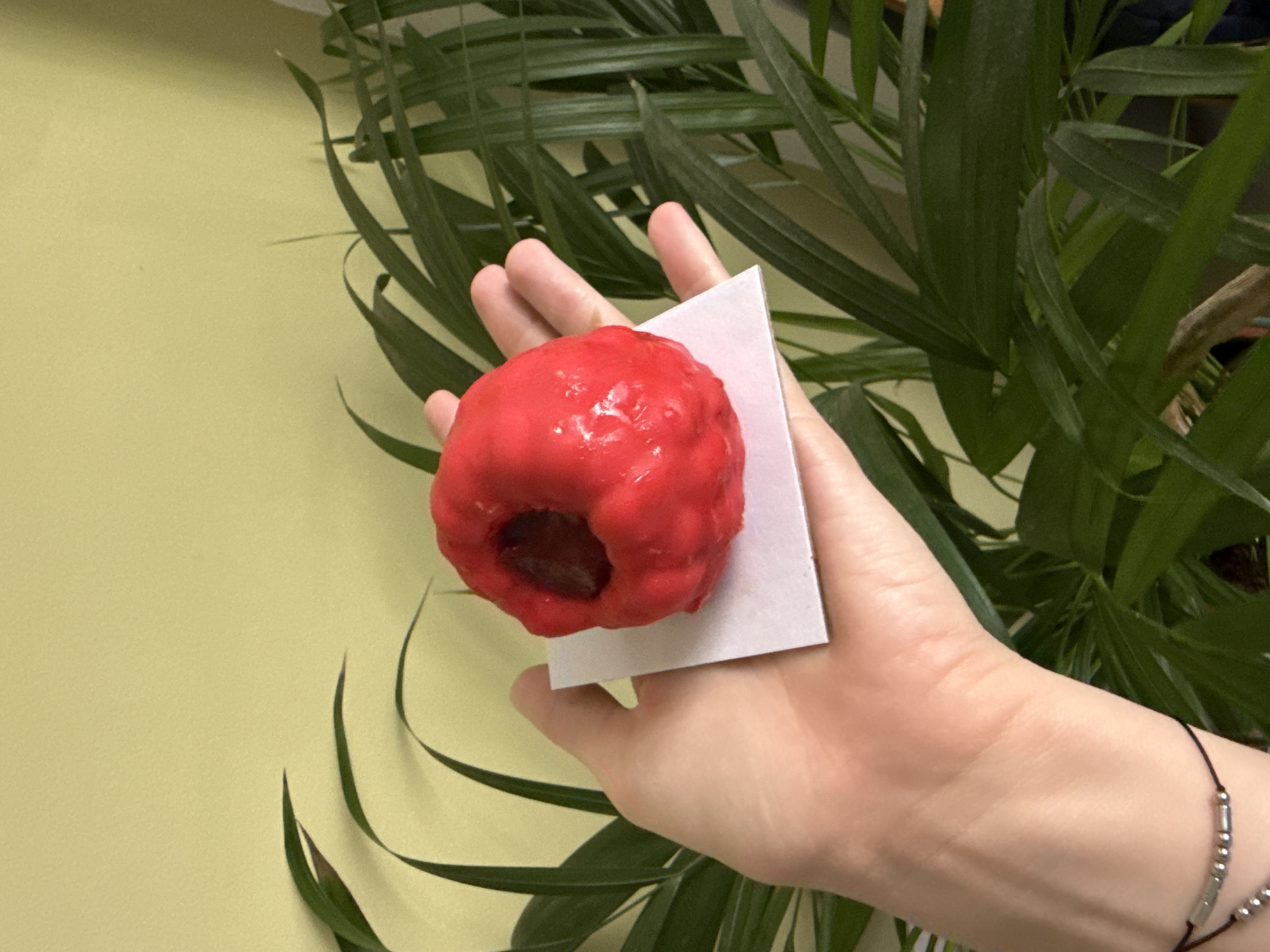 A fair-skinned hand holds a glazed, red donut atop a white square of paper. The donut has a hole in the center. The hand wears a silver bracelet with black string. The background includes a light green wall and the green fronds of a plant. The location appears to be indoors, although no specific details indicate Ramat Gan, Israel.