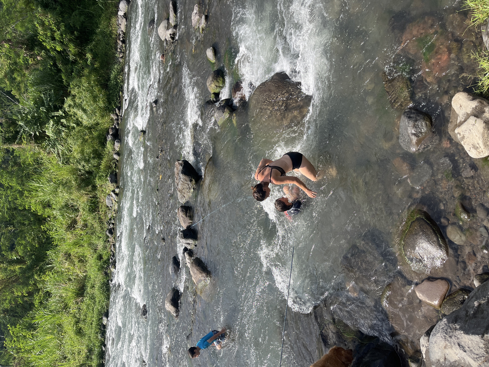 In this overhead shot, a group of people are enjoying a day in a shallow, rocky river in Klungkung, Indonesia. The sun is shining, suggesting it's a bright, warm day. The river is clear and shallow in places, with strong currents and white water in others. Large, smooth rocks dot the riverbed and banks, some covered with moss and vegetation. Lush green foliage and trees line the left bank of the river, indicating a natural, undeveloped setting.
Two adults and two children are visible in the water. One adult, wearing a black bikini, appears to be interacting with a child wearing a life vest. Another child, in a blue t-shirt, is wading in a shallower part of the river. Their postures and the activity suggest a playful and relaxed atmosphere. A brown dog is partially visible at the bottom right of the frame, with its fur wet, indicating it is also participating in the river outing. No text is visible in the image.