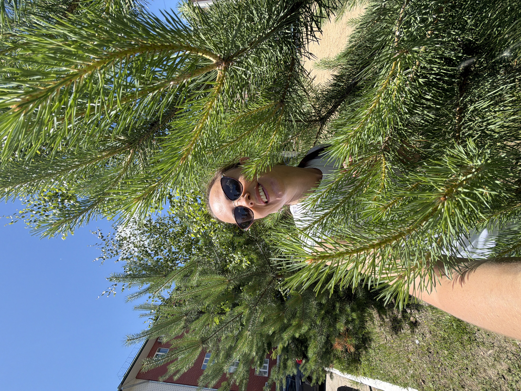 A woman wearing sunglasses and a white t-shirt is peeking through pine branches in Birobidzhan, Russia. She is smiling and looking at the camera. Behind her, a red brick building with white window frames and a white roof is visible, along with green trees and a clear blue sky. The ground is covered in grass and gravel.