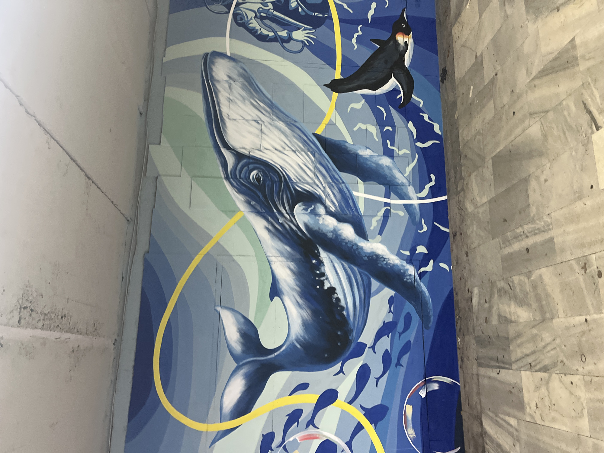 A vibrant mural depicting an underwater scene dominates a wall in a narrow, possibly indoor, passage. The mural features a large, realistically rendered blue whale swimming diagonally upwards and to the right, its flippers extended. Above and to the left of the whale, a diver in a grey diving suit is depicted, facing downwards. To the right of the diver and above the whale, a black and white penguin with orange markings on its head is shown diving.
Below and to the right of the whale, a school of numerous small blue fish swims. The background of the mural transitions through various shades of blue and green, creating a sense of depth in the water, with white wavy patterns suggesting currents or bubbles. Bright yellow curved lines intersect the marine life, adding a dynamic, abstract element. At the bottom right, a few stylized air bubbles are visible. The mural is painted on a surface composed of rectangular blocks, the lines of which are visible beneath the artwork.
To the right of the mural, the adjacent wall is constructed from light grey, textured stone blocks, possibly marble or granite, displaying natural veining and a slightly rough surface. To the left of the mural, another wall or ceiling surface is a plain, light grey, exhibiting some cracks and minor discoloration. No discernible text is visible anywhere in the image. The overall impression is one of a colorful and dynamic marine ecosystem painted within a structured architectural space.