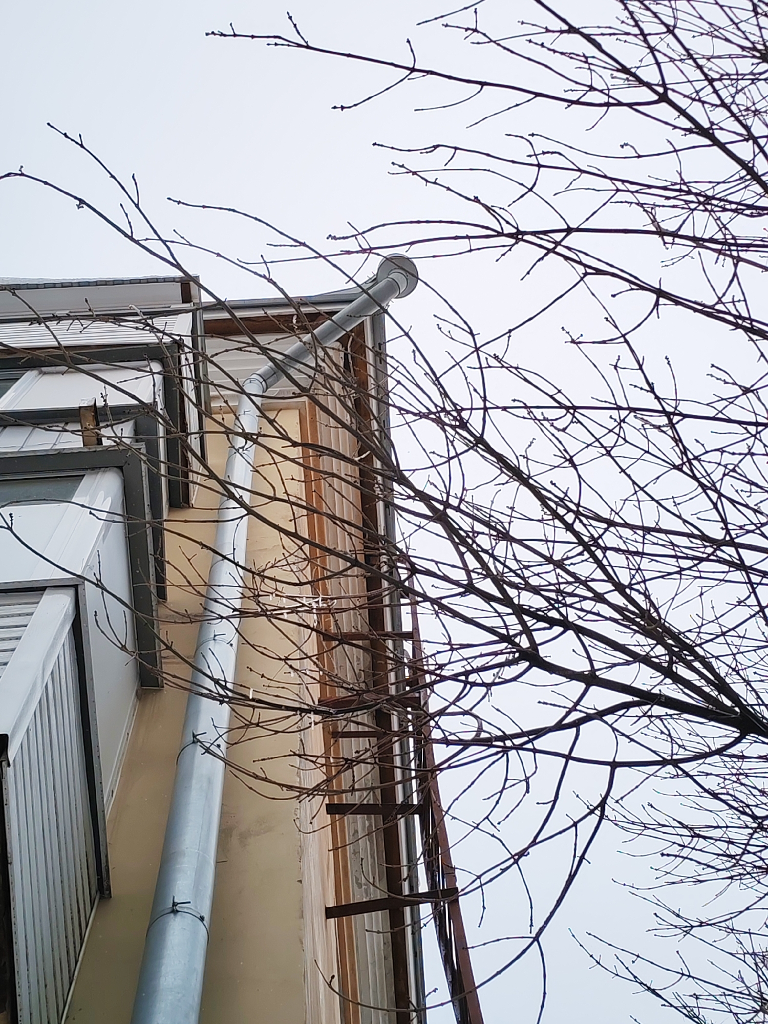 An exterior, upward-angled shot shows a section of a building in Izhevsk, Russia, on a day with an overcast sky. A light-colored, multi-story building is visible with a metallic gray drainpipe running vertically along the facade. A white-paneled balcony or window section is visible on the left side. The right side of the building has brown vertical decorative strips, potentially part of the architecture or a ladder. Bare branches of a tree, lacking leaves, are in the foreground and partially obscure the building and sky. The drainpipe runs from the top of the building towards the bottom of the frame.