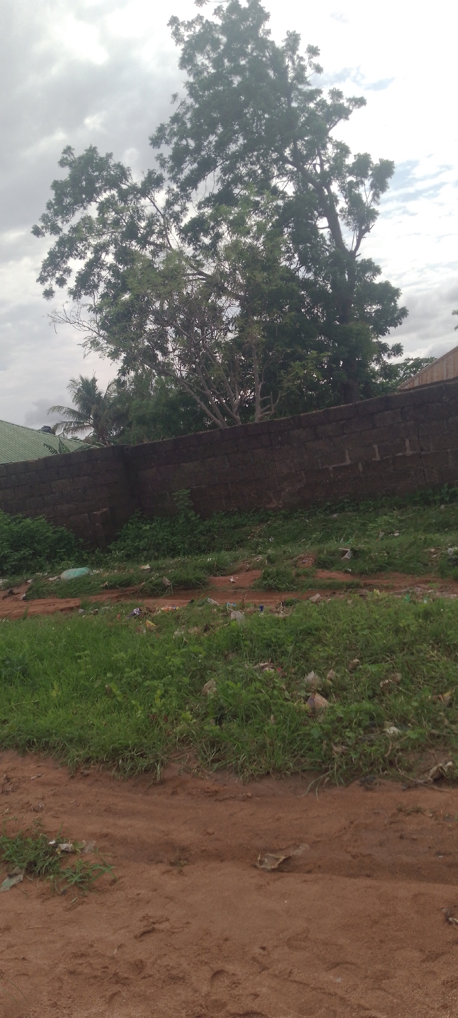 An outdoor, medium shot of a brick wall separates a patch of grassy, litter-strewn ground from a dense tree with sparse leaves and branches that reaches towards a cloudy sky. The brick wall is made of rough-hewn, dark brown bricks. To the left of the wall, the green roof of a building is visible, partially obscured by trees. The ground in front of the wall is covered in patchy, overgrown green grass, with scattered bits of trash, including plastic bags, wrappers, and other debris. The ground further in the foreground is composed of loose, reddish-brown dirt with tire tracks and what appear to be footprints. The sky is overcast with gray clouds. The scene appears to be located in Jalingo, Nigeria.