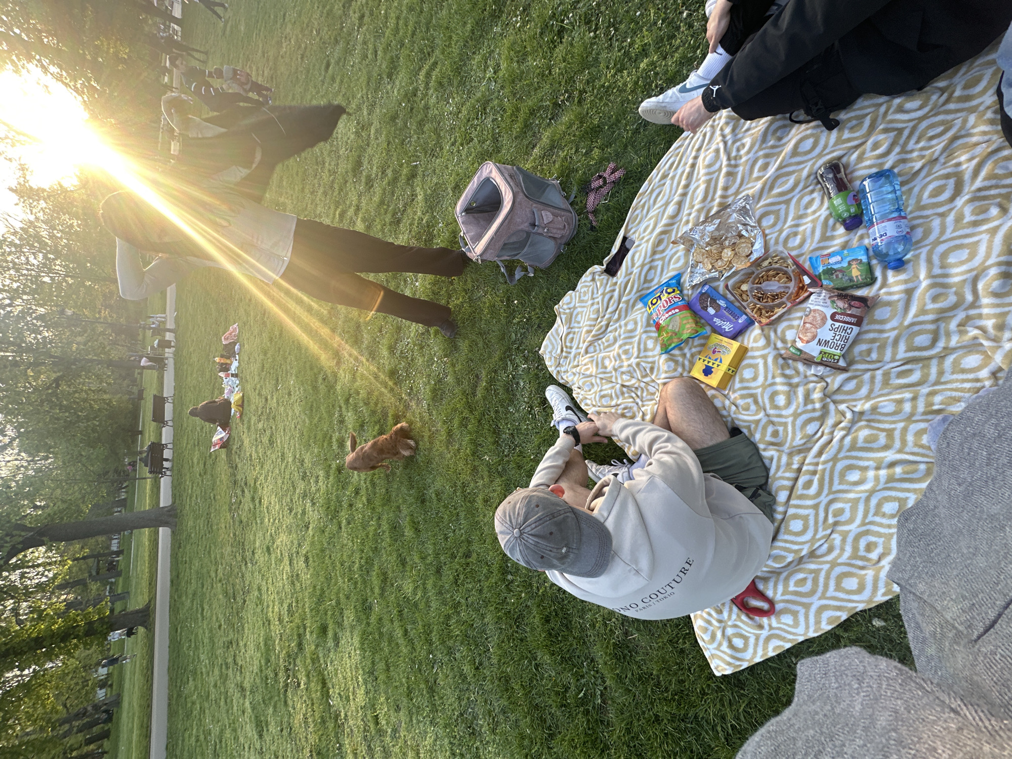 The image shows a group of people having a picnic in a park on a sunny day. A brown and white blanket is spread out on the green grass, and various snacks, including chips, cookies, and a water bottle, are arranged on top of it. Two people are sitting on the blanket and someone else is standing next to them, while a small brown dog runs on the grass. A backpack is lying on the grass near the blanket. In the background, there are trees and more people sitting on benches. The location is likely a park in Sofia, Bulgaria.