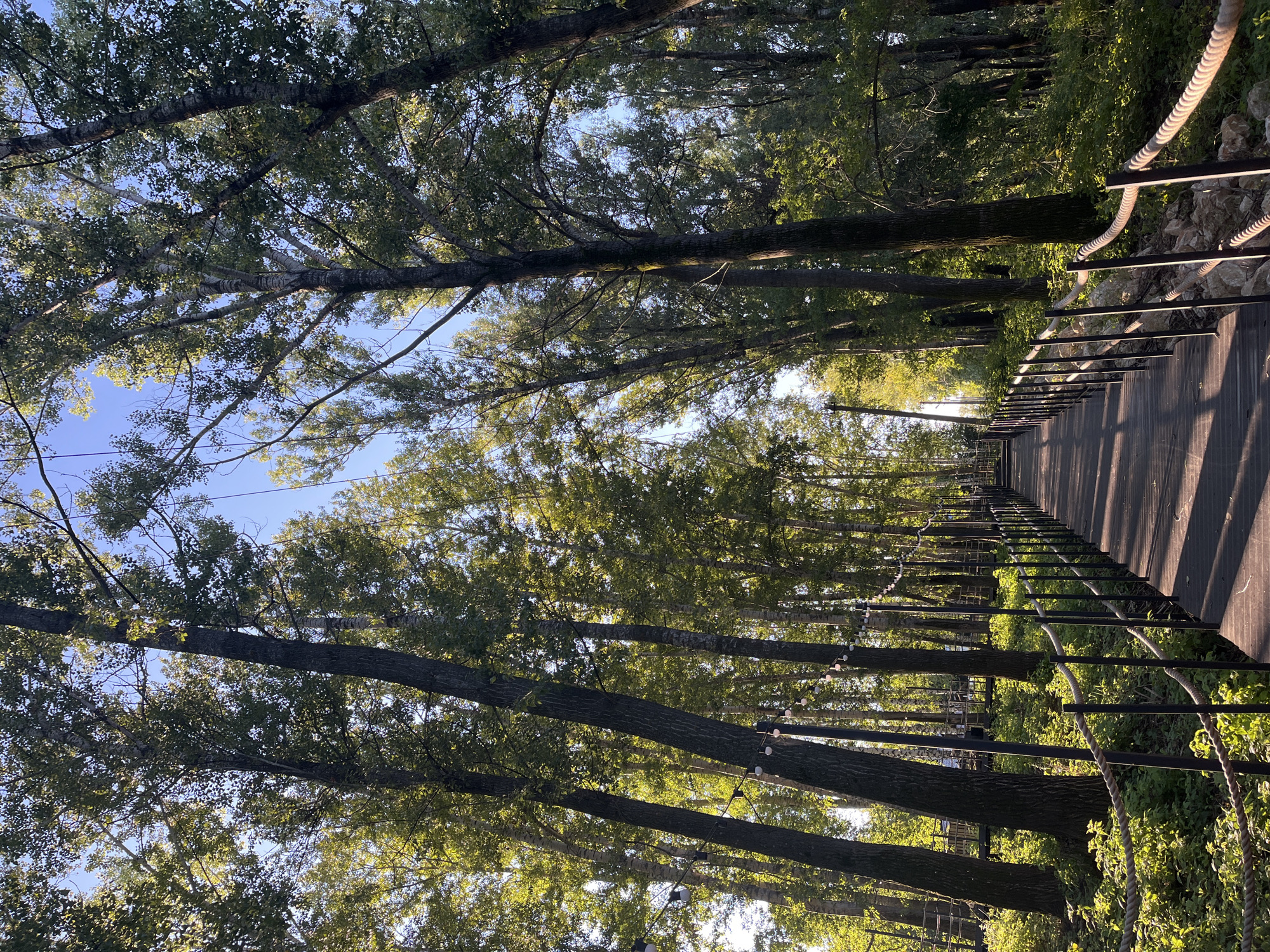 The image depicts a wooden boardwalk winding through a dense forest. The boardwalk is lined with black metal posts and thick rope railings, suggesting it's an elevated or protected pathway. Sunlight filters through the canopy of tall trees, casting dappled shadows on the wooden planks. The trees are a mix of species, with some exhibiting light-colored bark. Strings of decorative lights are visible intermittently along the path, suggesting the area might be used for events or evening strolls. The undergrowth is lush with green foliage. The scene appears to be a recreational or park area. This location is the Amur Bay Park in Blagoveshchensk, Russia.