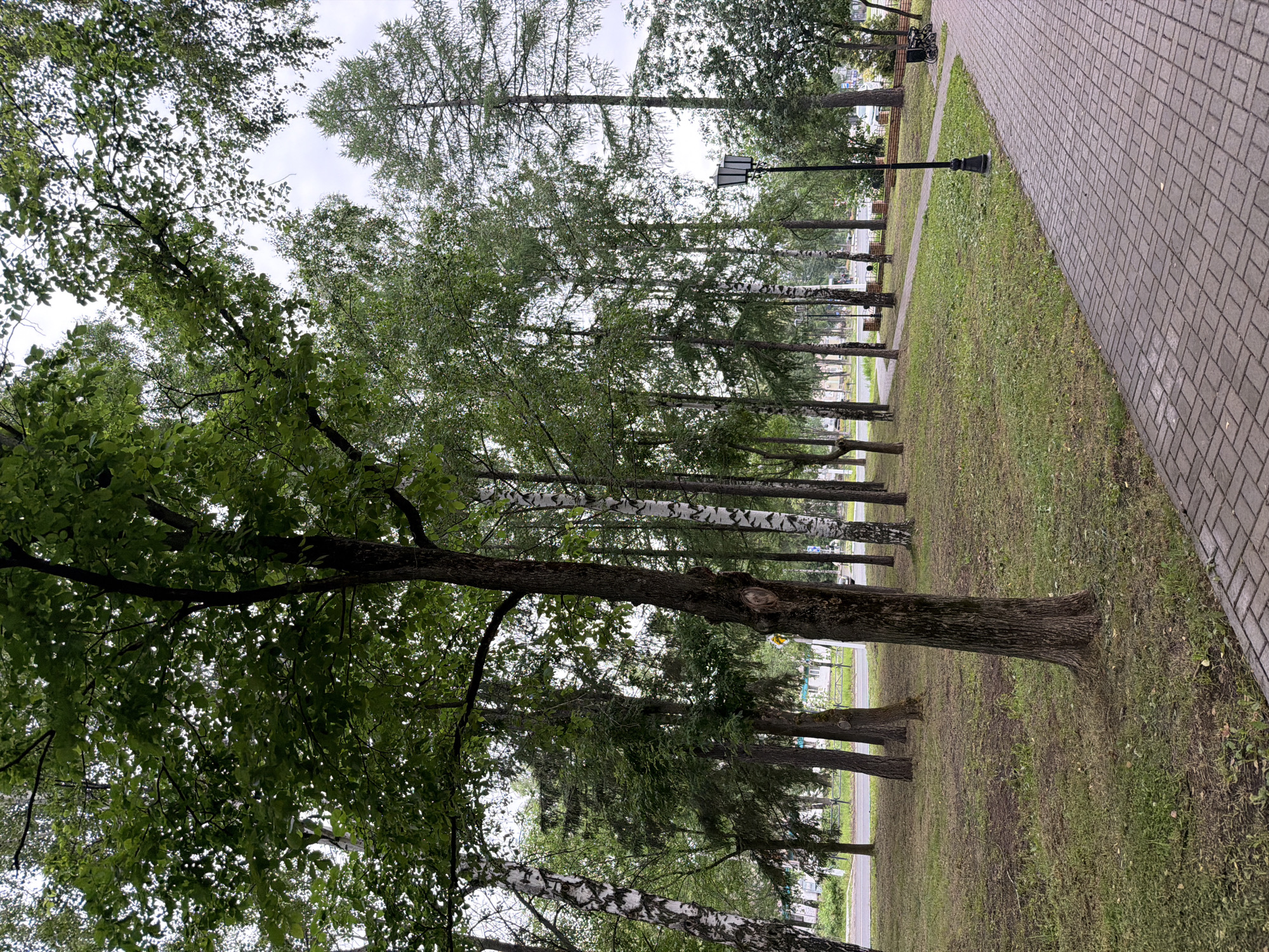 A paved pathway made of interlocking brick pavers curves through a park-like setting in Chaikovsky, Russia. The pathway is bordered by a grassy area with scattered trees, including birch and coniferous varieties. In the background, a road runs parallel to the park, with buildings visible beyond it. A lamppost stands beside the pathway, and a bench is visible further along. The sky is overcast.