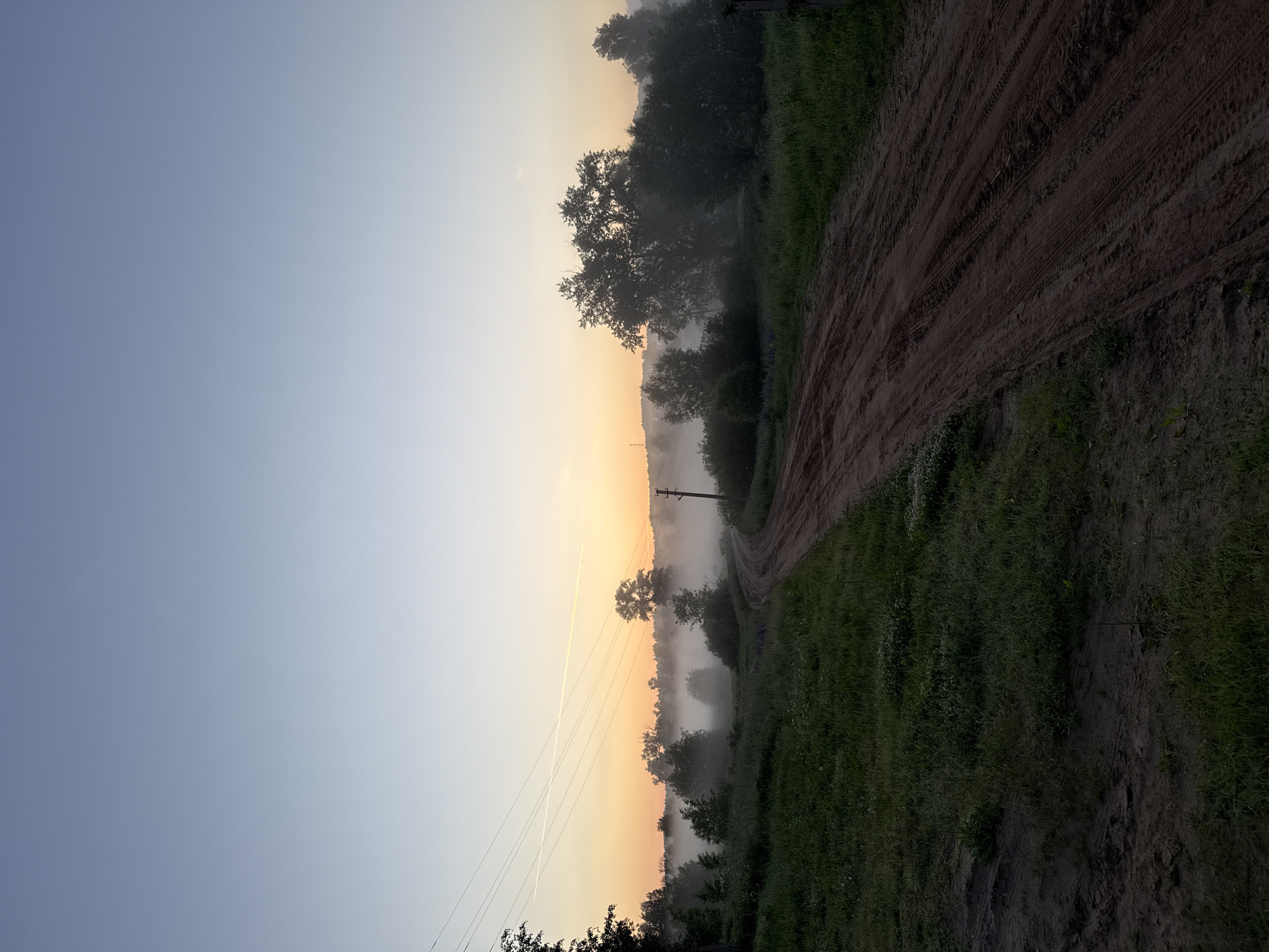 An early morning outdoor scene captures a dirt road curving through a grassy field leading towards a misty horizon. The sky is clear and transitions from a pale blue at the top to a soft orange and yellow gradient near the horizon, suggesting sunrise. Power lines with a contrail streak across the upper portion of the sky. Trees and bushes are scattered across the landscape, with a noticeable amount of fog or mist settling in the middle ground, obscuring the lower portions of the trees and creating a sense of depth. A single wooden utility pole stands on the right side of the road. The foreground consists of dark, damp soil and green grass. The location is identified as Уральское, Russia. No people or animals are present in the image.