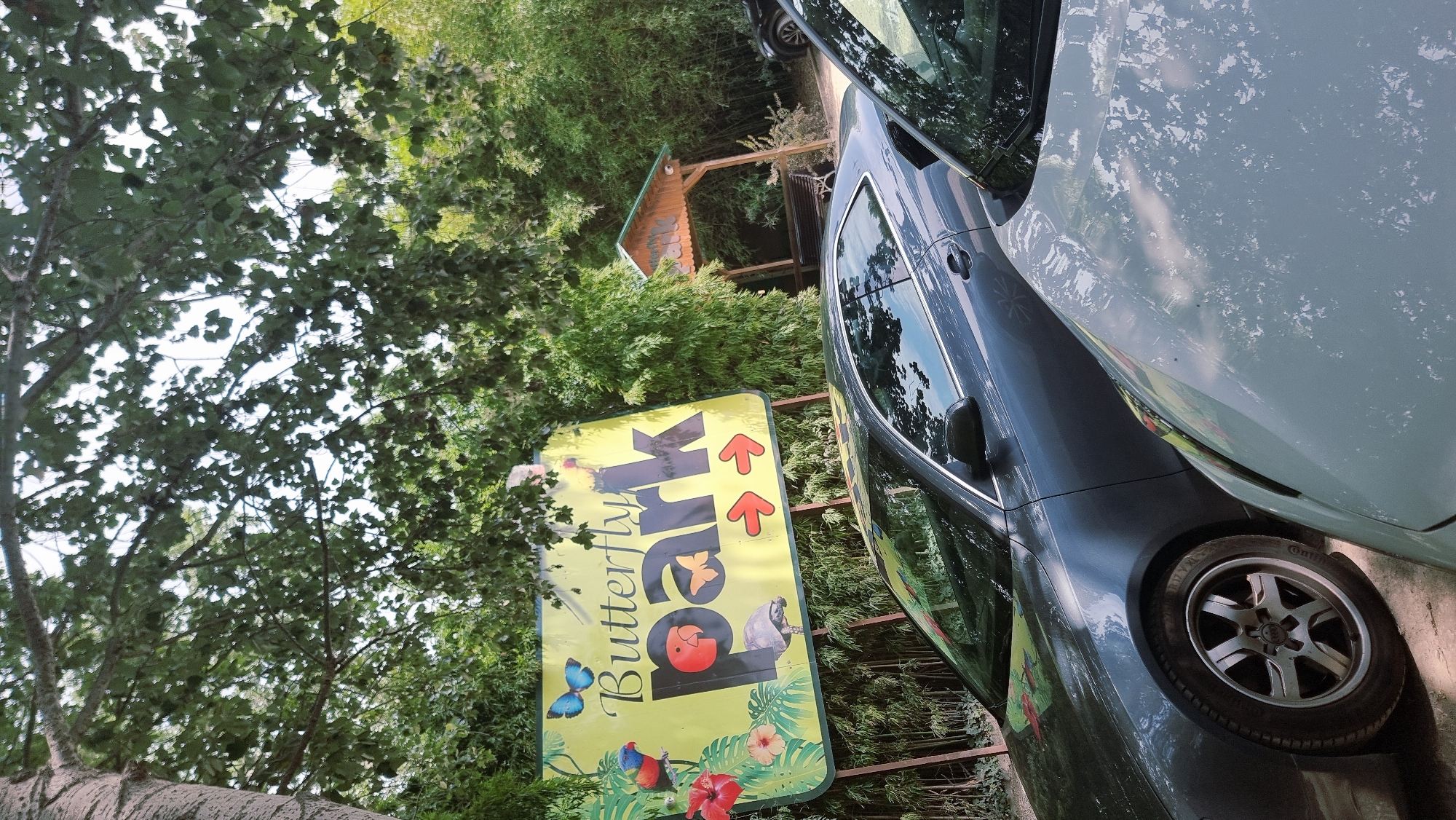 The image depicts the entrance to a Butterfly Park in Castelló d'Empúries, Spain. A large yellow sign with the words "Butterfly Park" is prominently displayed, featuring illustrations of a blue butterfly, a parrot, a turtle, flowers, and tropical leaves. Two red arrows point to the right, indicating direction. In the foreground, two cars are parked, a dark gray Audi sedan and a lighter-colored car partially visible. Behind the sign, a wooden gazebo with a bench can be seen, and dense bamboo foliage lines the background. The scene is set outdoors, under the shade of leafy trees.