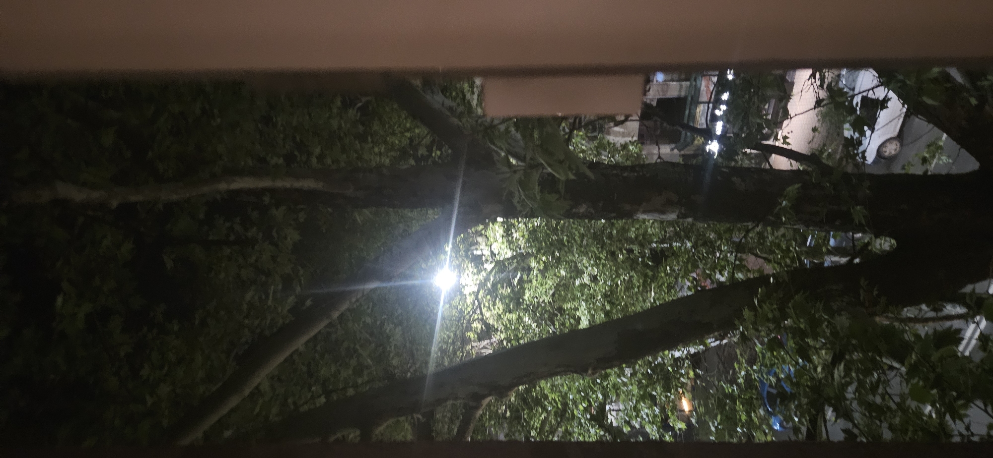 The image shows a view through a window at night, likely taken from an apartment in Plovdiv, Bulgaria. The focus is on a street lined with trees. A streetlight is visible, casting a bright glow that obscures some details. The trees are full of leaves. A parked car and some buildings can be seen in the background.