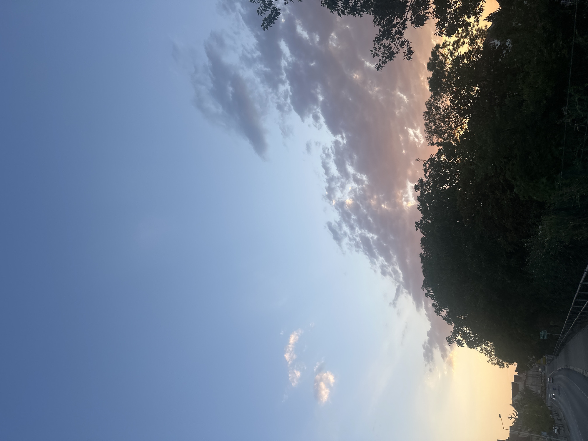 The image depicts a street scene in Bautzen, Germany, at dusk. The sky transitions from a clear pale blue at the top to hues of orange and pink near the horizon, with scattered clouds tinged with the sunset colors. Silhouetted against the sky are the tops of dense trees that form a dark line across the lower half of the frame. To the left, a road curves away into the distance, with a few cars visible, their headlights on, indicating low light conditions. Buildings with tiled roofs are visible along the left side of the road. A sidewalk with a metal railing runs along the right side of the road, in the foreground. The overall impression is a quiet, urban landscape at the end of the day.