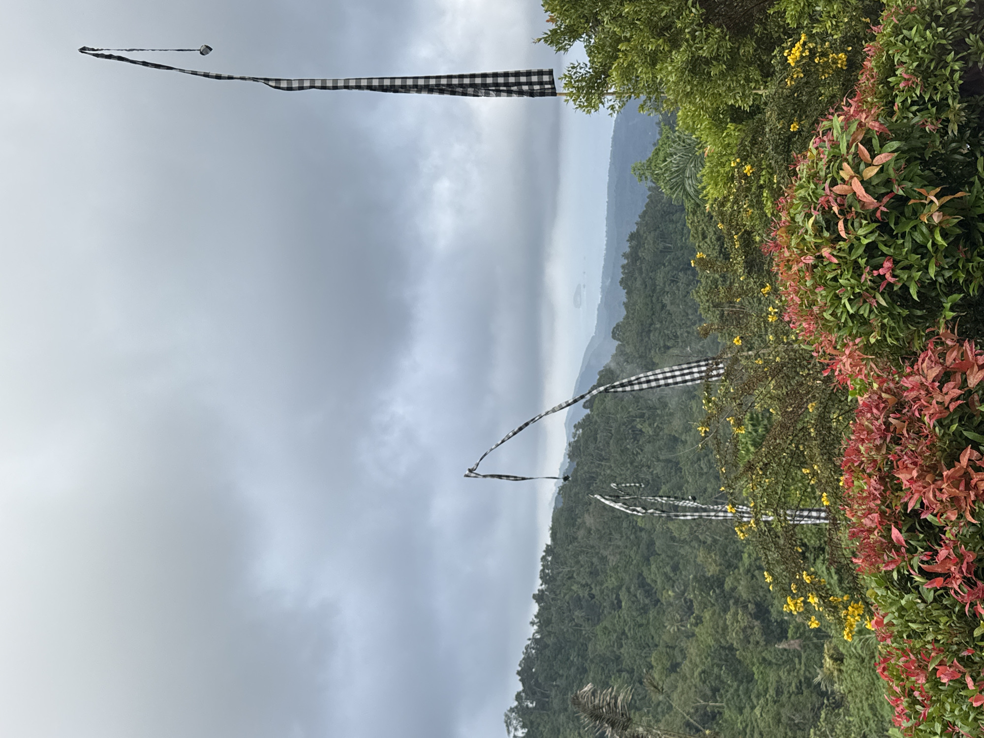 The image captures a scenic view in Manggis, Indonesia, with lush green hills stretching into the distance under a cloudy sky. In the foreground, vibrant red and green foliage creates a natural border, with yellow flowers dotting the mid-ground. Several tall poles with black and white checkered flags, characteristic of Balinese decorations, are prominently displayed against the landscape. One flag is particularly tall and stands to the right of the frame, while two others are visible to the left, leaning with the wind. The overall atmosphere is serene and natural, with a hint of cultural presence through the flags.