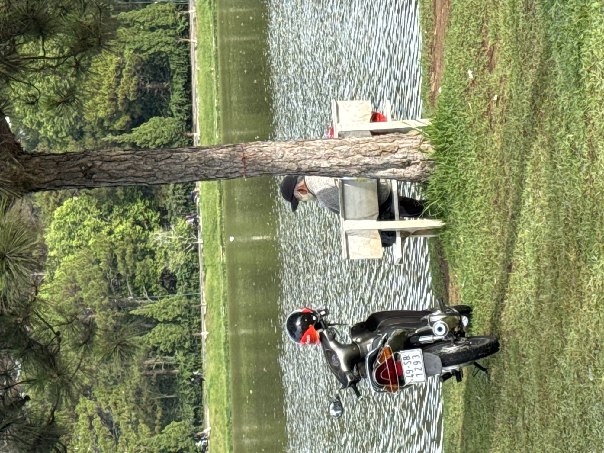 The photograph captures a tranquil scene near the shores of Xuan Huong Lake in Da Lat, Vietnam. An elderly man sits on a white bench positioned by a large tree that partially obscures his figure. He is wearing a black cap and appears to be looking out at the lake. A motorbike, with a black helmet hanging from one of the handlebars, is parked nearby on a patch of green grass. The license plate of the motorbike reads "49-S8 1293". The lake itself shows rippling water under daytime lighting. Lush green vegetation, including trees, lines the opposite side of the lake.