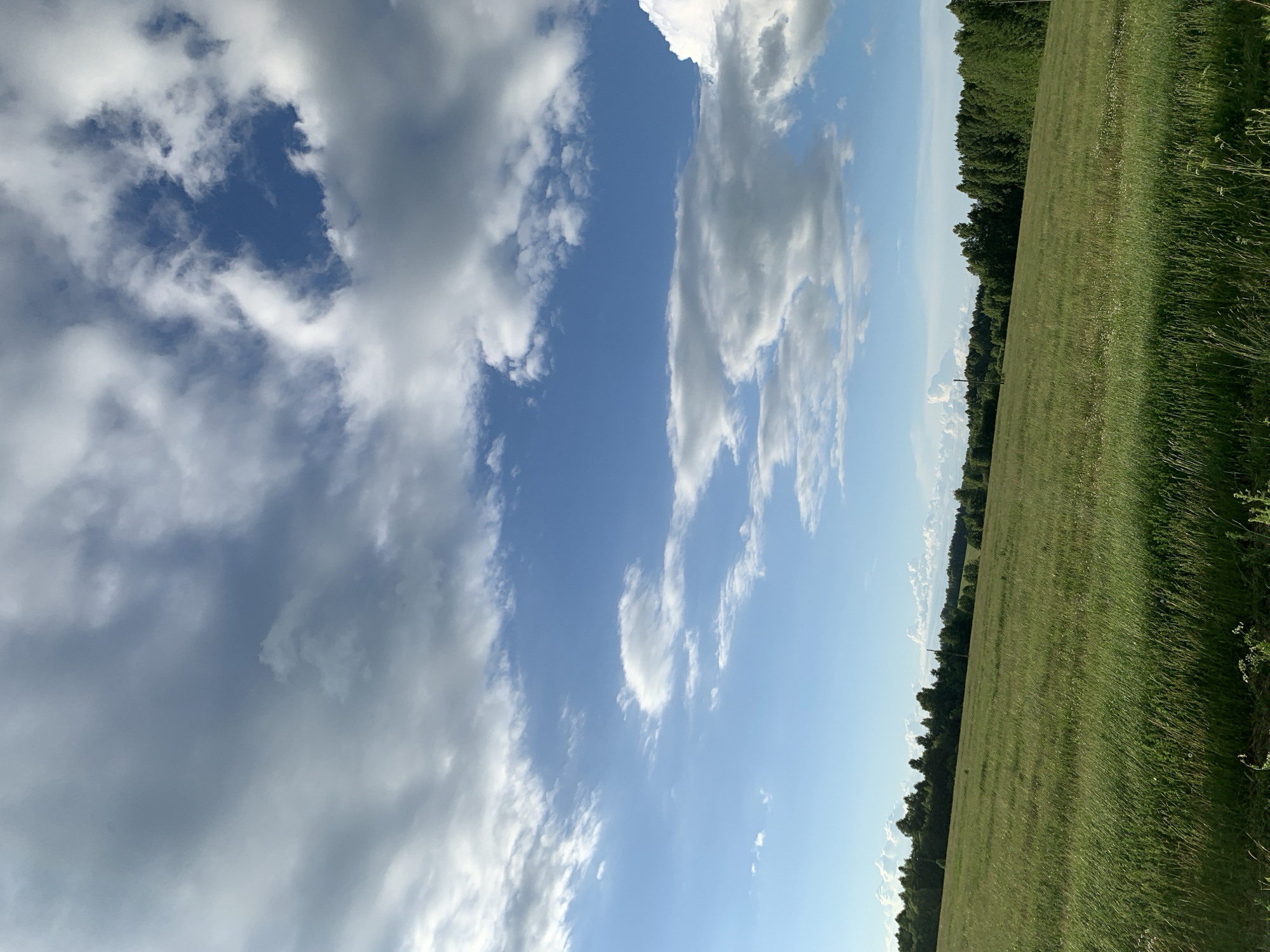 This image depicts a grassy field with a line of trees in the background, under a partly cloudy sky. The field is a vibrant green, with tall grass that appears to be naturally growing, rather than manicured. The trees form a dense line along the horizon, with some appearing taller and denser than others. The sky is a mix of bright blue and large, puffy white and gray clouds, suggesting a dynamic weather pattern. The overall scene conveys a sense of open, rural landscape. The location of Святица, Russia, is known for its natural beauty, often characterized by rolling hills, forests, and meadows, which is consistent with the environment shown in the image. There are no people or specific objects of interest visible in the frame, focusing solely on the natural landscape.