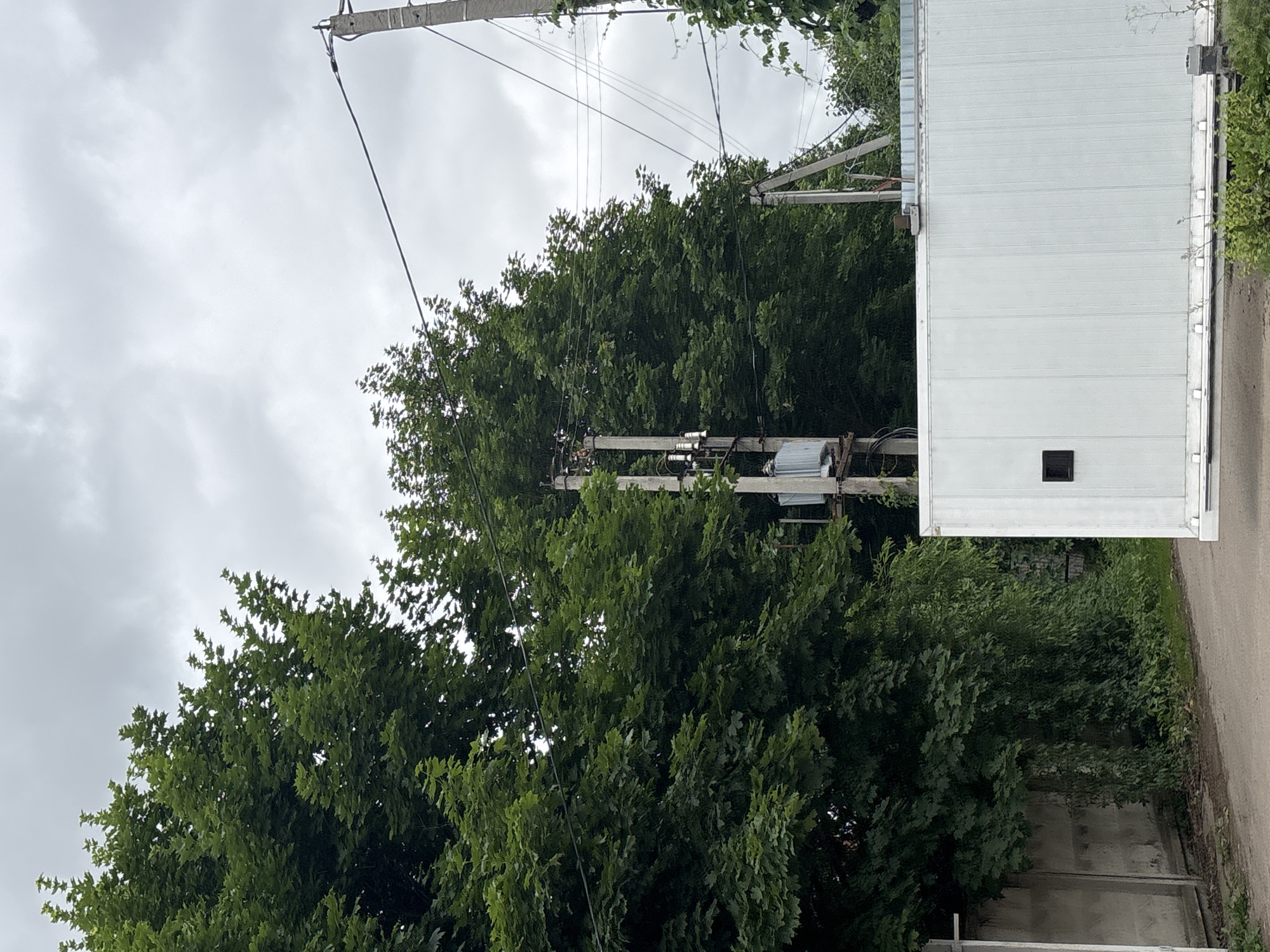 The image shows a street scene in Ostrov, Russia, with lush green trees dominating the left side and extending into the background. In the foreground, a large, white, corrugated metal structure, likely a gate or modular building, occupies the lower right portion of the frame. Behind the trees, a concrete utility pole with electrical insulators and wires is visible, along with a gray transformer box. A concrete wall runs along the left edge of the scene, partially covered by vines. The sky is overcast with gray clouds. The scene appears to be an outdoor, possibly industrial or residential, area.