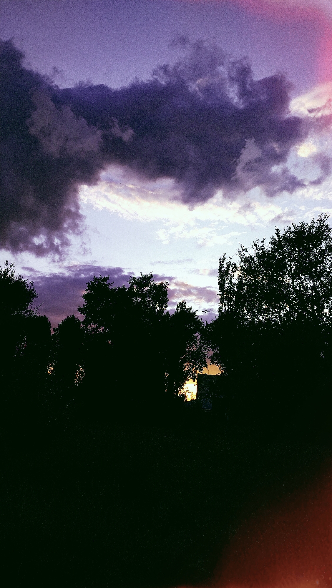 A vertical, outdoor, low-angle shot captures a twilight scene. Silhouetted trees dominate the foreground, their dark foliage obscuring the ground below. Above the trees, the sky is a gradient of deep purple at the top, transitioning to lighter purples and blues, with a sliver of warm yellow light peeking through a gap in the trees on the right. Dark, heavy clouds are scattered across the upper portion of the sky, some tinged with pink, suggesting the last remnants of sunset. A hint of a building is visible behind the trees on the far right, illuminated by the setting sun. The image has a grainy texture and a slight reddish-orange light flare in the bottom right corner, indicating a possible lens flare or film artifact. There are no people or animals visible. The scene is devoid of any specific urban markers that would definitively place it in Horishni Plavni, Ukraine, but the description of the sky and silhouetted trees suggests a natural or semi-rural setting within the city.