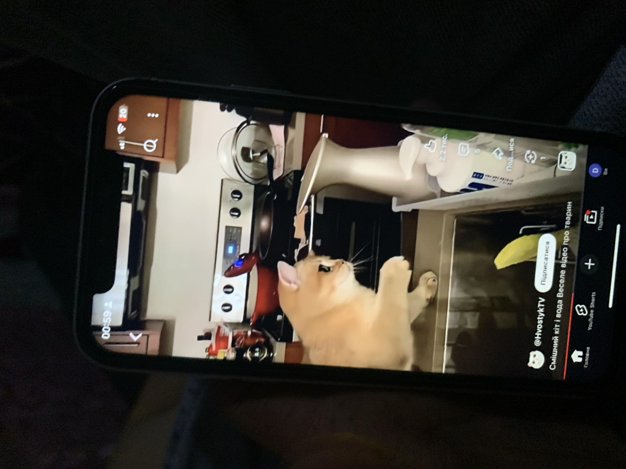 The image shows a screen of a mobile phone, displaying a video of a cat in a kitchen. The cat, a golden British Shorthair, is perched on a countertop next to a sink. In the background, a stovetop with pots and pans, and kitchen cabinets are visible. The phone's interface indicates it's a YouTube Shorts video, with the username "@HvostykTV" and the title "Смішний кіт і вода Веселе відео про тварин" (Funny cat and water Fun video about animals). The time displayed on the phone is 00:59. The image is a photograph of the phone screen, likely taken indoors, with the environment outside the phone screen being dark and out of focus, suggesting a low-light indoor setting. The location of Zhmerynka, Ukraine, is not discernible from the image content.