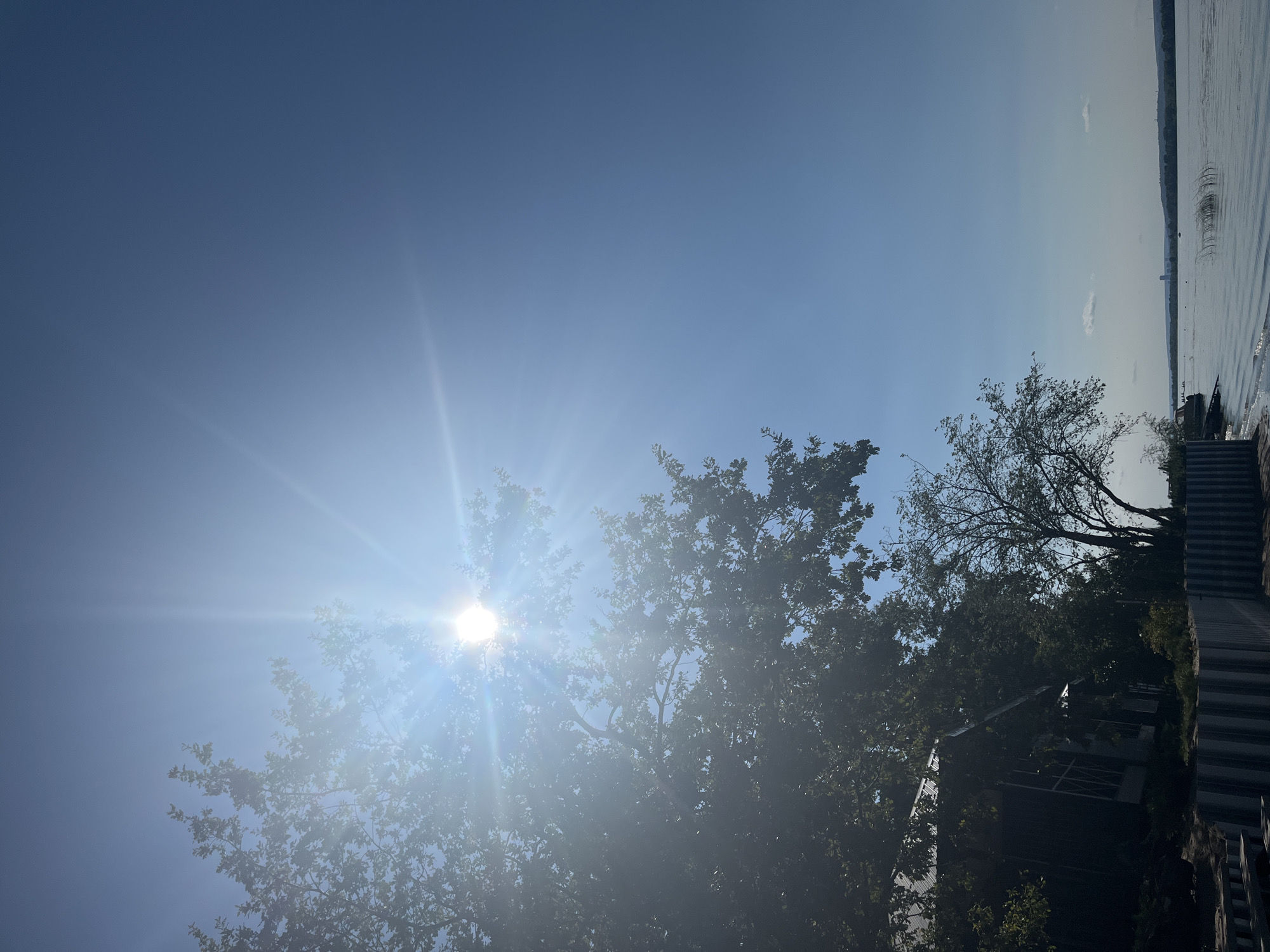 The image depicts a bright, sunny day by the water, likely a river or lake, in the city of Shumeika, Russia. The sun is prominently featured in the upper left quadrant of the sky, casting strong rays and creating a lens flare. A large tree with dense foliage dominates the left side of the frame, partially obscuring a dark-colored building with a sloped, possibly metal, roof and large windows. In front of the building, a low, grey concrete or stone wall with vertical ridges runs along the shoreline. To the right of the building, a sparser tree with fewer leaves is visible. The water occupies the lower right portion of the image, with ripples on its surface and a distant shoreline characterized by a low-lying horizon of trees and landforms. A few small clouds are present in the clear blue sky. No people are discernible in the scene.