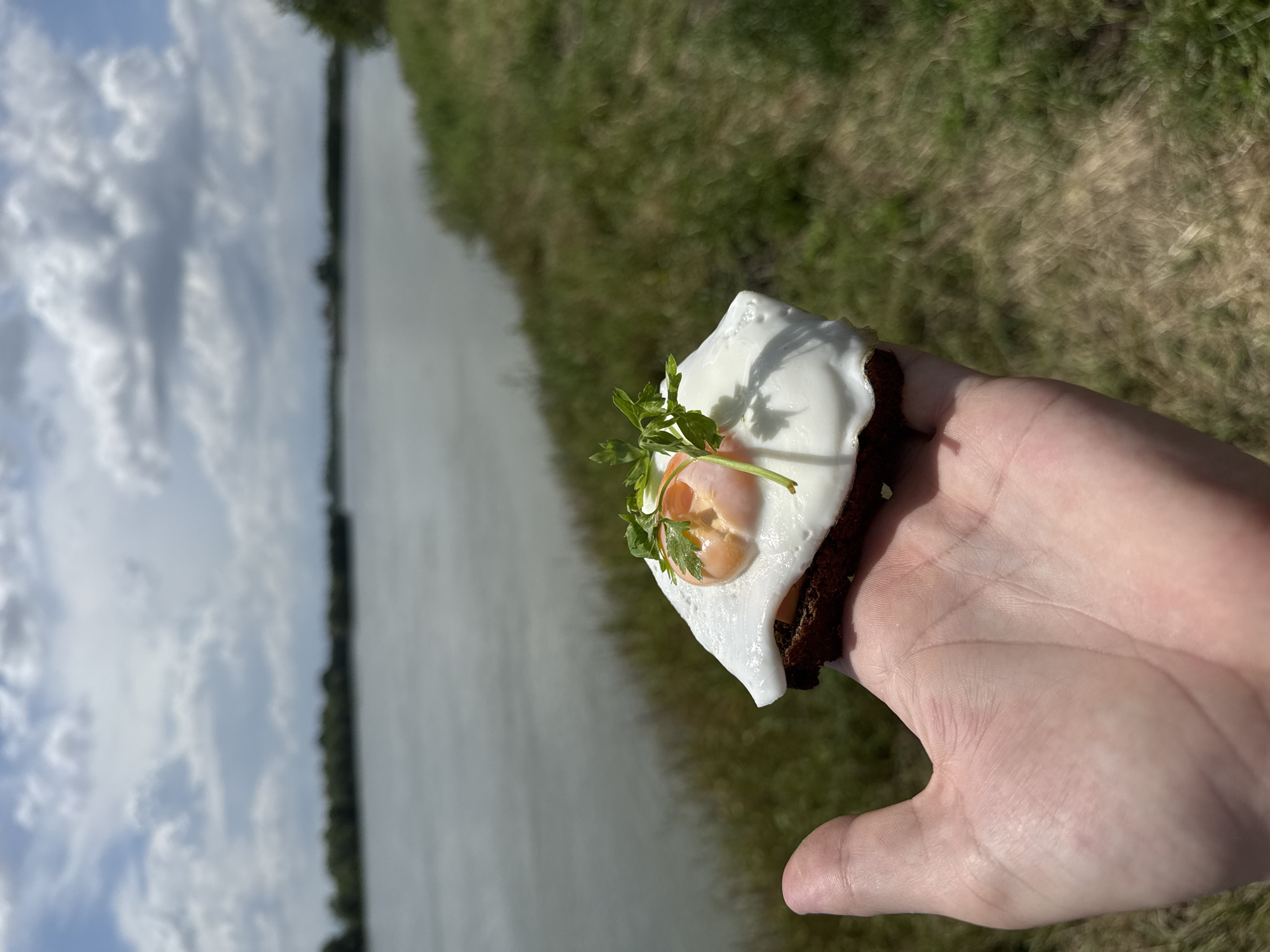 A hand holds a small, open-faced sandwich topped with a fried egg and sprigs of parsley. The sandwich consists of a square of dark bread. The background includes a cloudy sky, a body of water, and grassy land. The image was taken near Yelizavetinskaya, Russia.