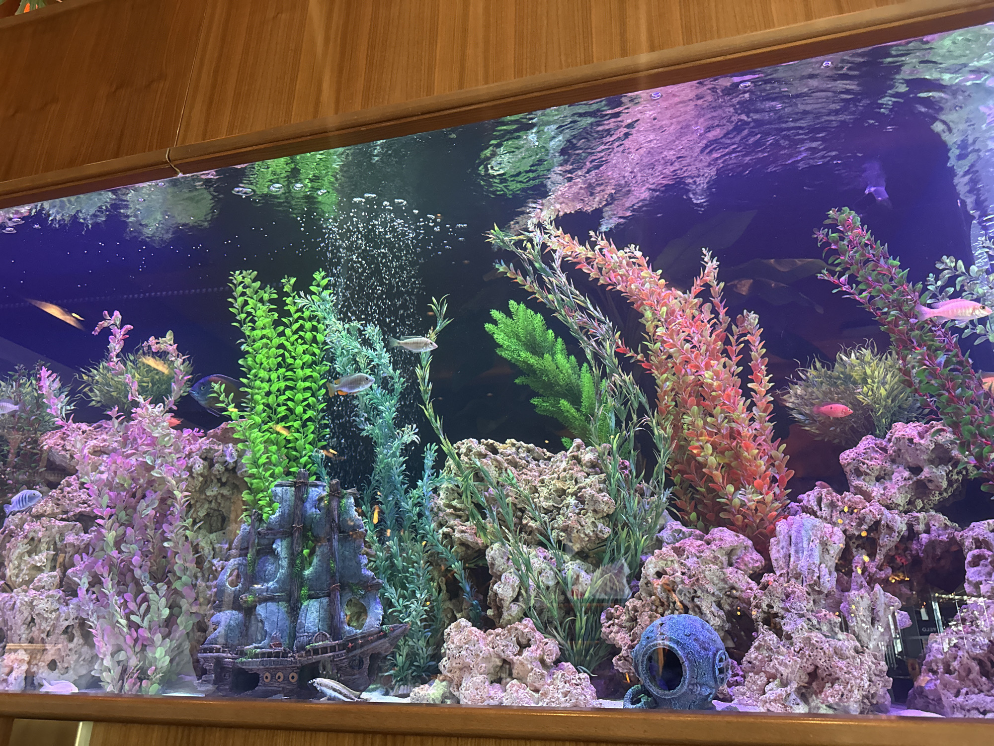 A large aquarium is visible, presumably in Unknown, Unknown. The aquarium is densely decorated with artificial plants, rocks, and two decorative shipwrecks and a diver helmet. Several fish of varying colors and sizes are swimming within the aquarium. Bubbles are rising from the bottom. The aquarium is enclosed by a wooden frame.