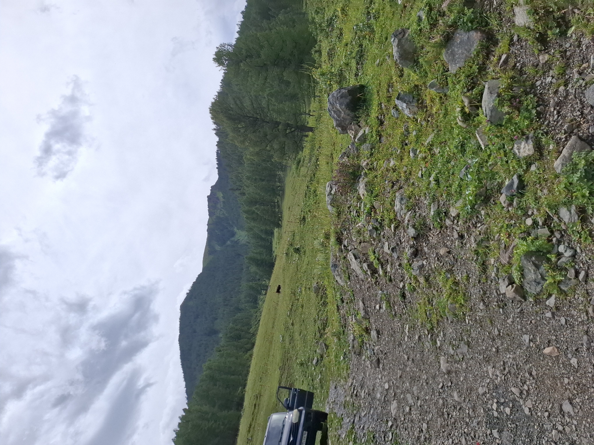 An SUV is parked on a rocky, dirt path in a grassy, mountainous landscape under a cloudy sky. The vehicle's driver-side door is open. In the background, a dark-colored bovine grazes in a green field. The terrain is covered with grass, rocks, and trees, with a large hill or mountain in the distance, densely populated with coniferous trees.