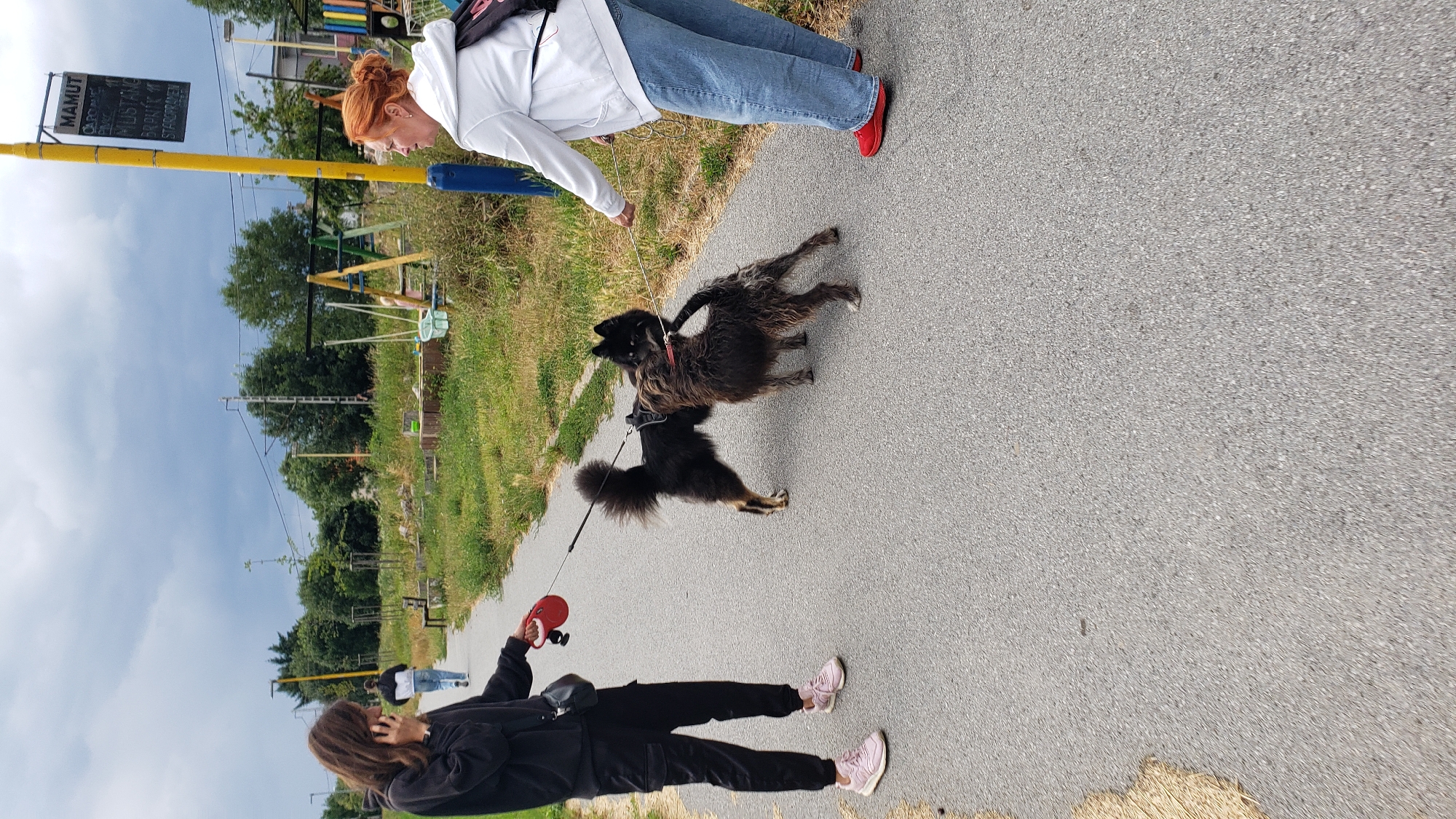 The image depicts two women walking two dogs on a paved path in Prešov, Slovakia. The woman closer to the foreground, wearing a black hooded sweatshirt and black pants with pink sneakers, is holding a red retractable dog leash. She has long brown hair and is looking down at her phone, which she is holding in her left hand. The dogs are a dark-colored, shaggy dog and a smaller black dog. The shaggy dog is on a leash attached to the woman's hand, and the black dog is on a separate leash.
The second woman, further down the path, is wearing a white hooded sweatshirt and blue jeans with red shoes. She has red hair pulled back in a bun and is looking towards the dogs and the other woman. A black backpack is slung over her shoulder.
The setting appears to be a park or recreational area, with green grass and trees visible to the left of the path. In the background, there is a yellow pole with a sign that has text on it, and some playground equipment. The sky is cloudy, suggesting it is daytime, but the weather is not clearly discernible beyond that. The overall mood seems relaxed and casual, with the women enjoying a walk with their pets.
Visible text on the yellow sign reads "MAMUT" in large letters, followed by smaller text that appears to be a list of services or attractions, including "CAFE", "BAR", "MUSTANG", "BAR", "10", and "STAROPRAMEN".